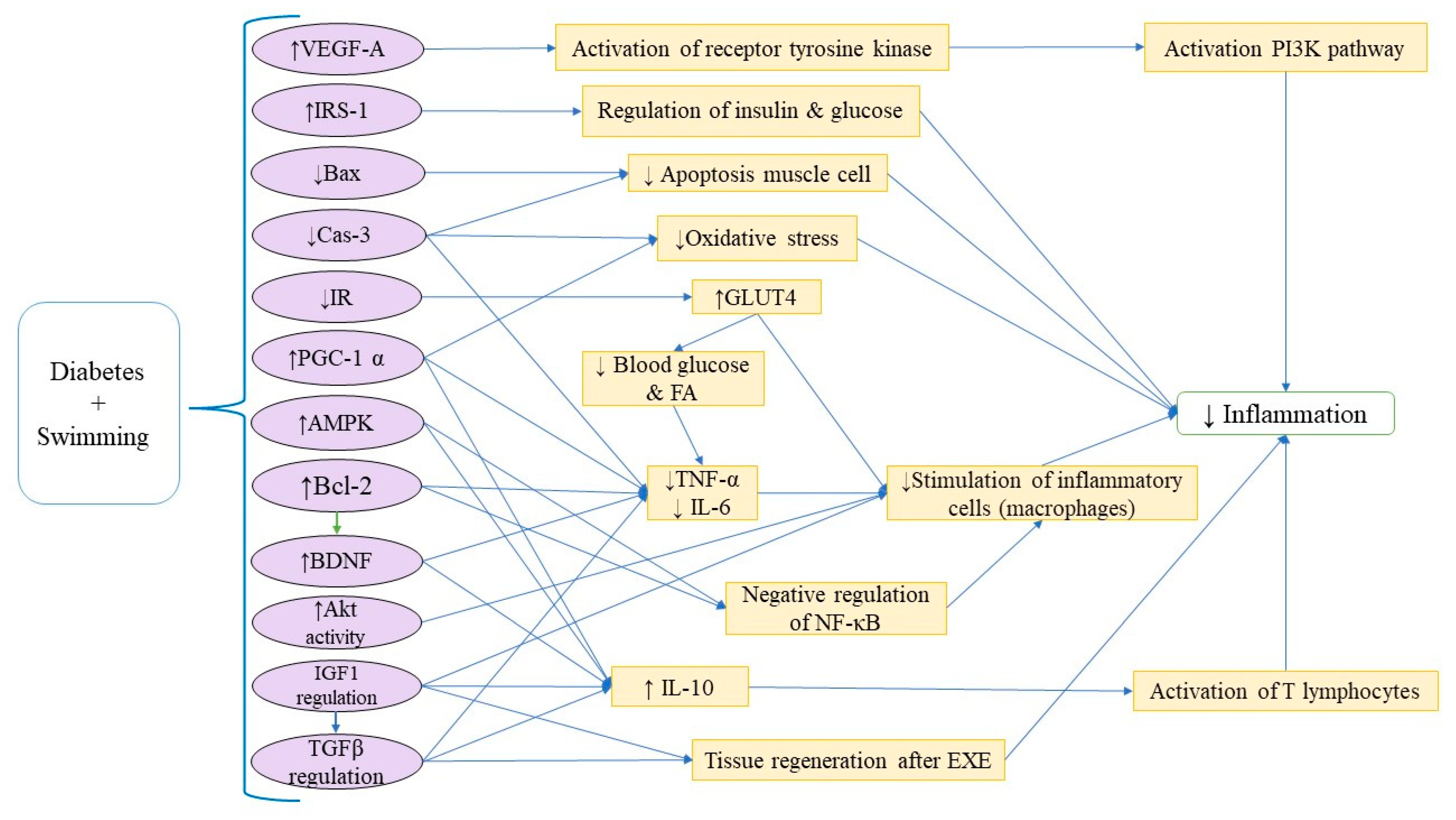 Brainsci 15 01121 g003