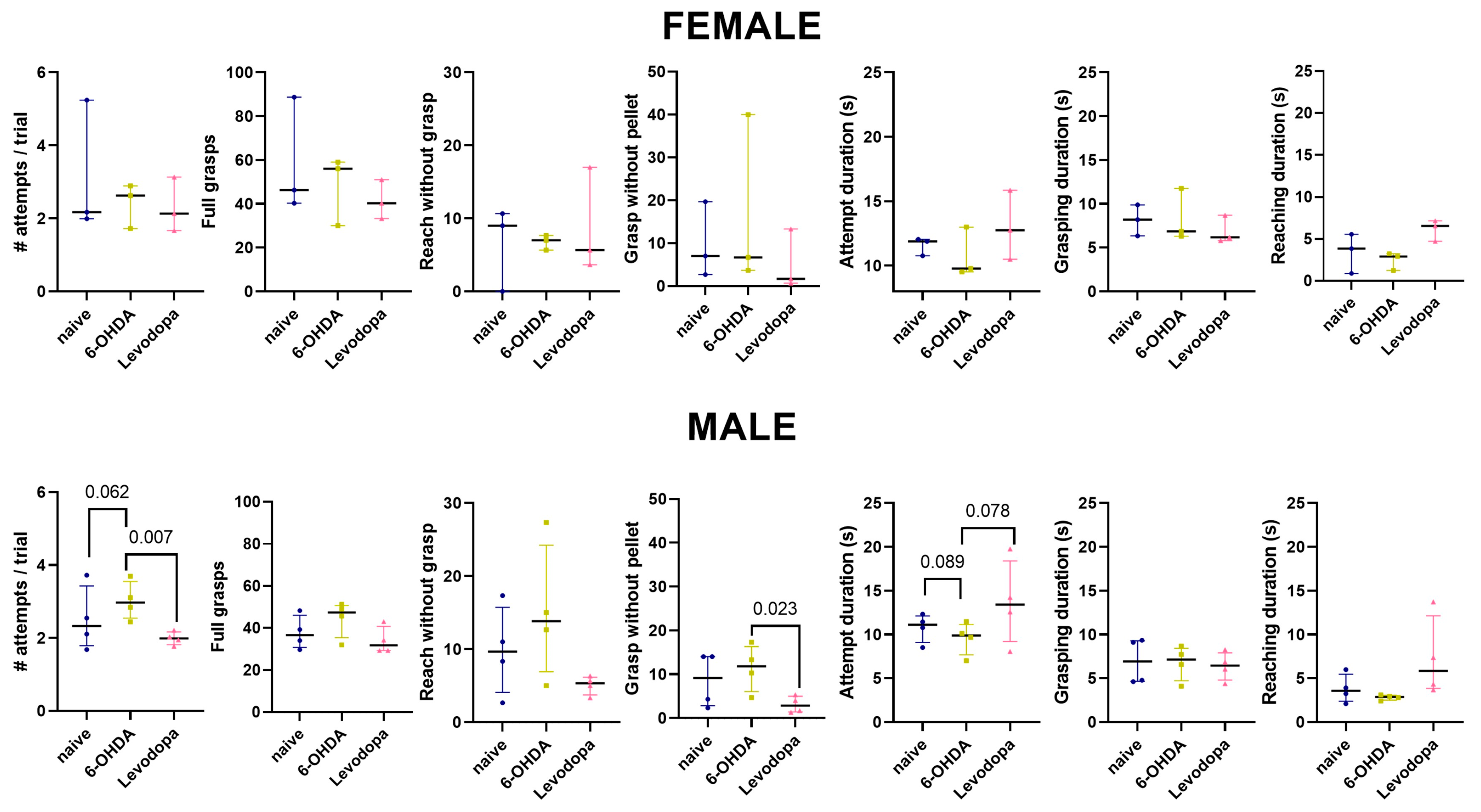 Brainsci 15 01123 g004 Brainsci 15 01123 g004