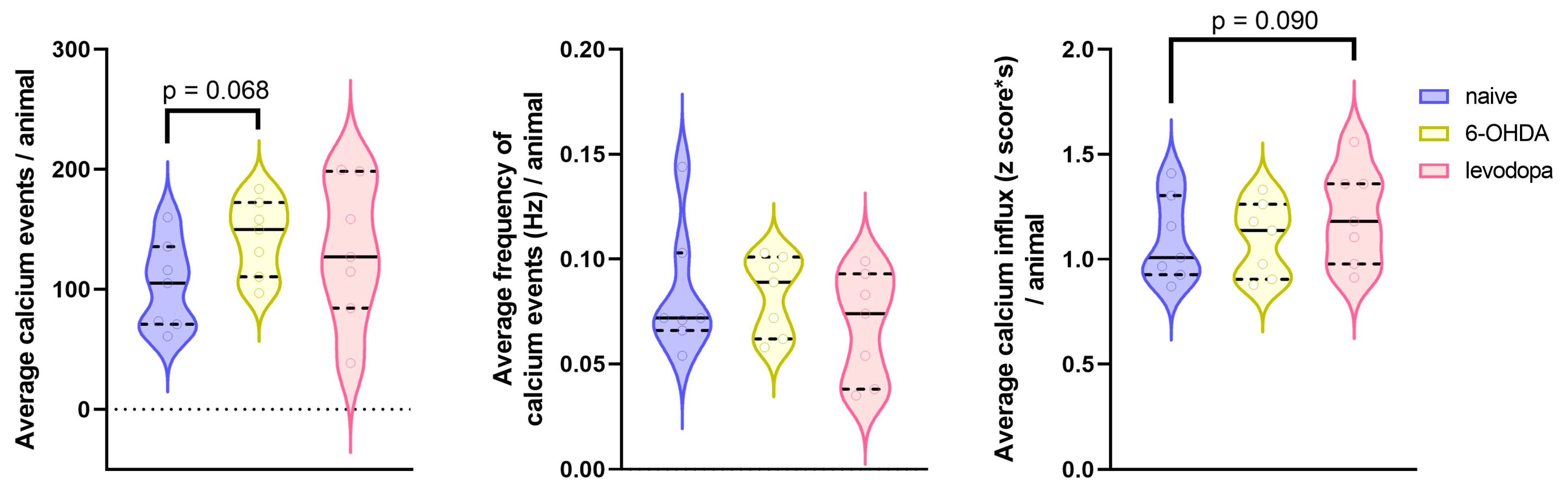 Brainsci 15 01123 g007 Brainsci 15 01123 g007