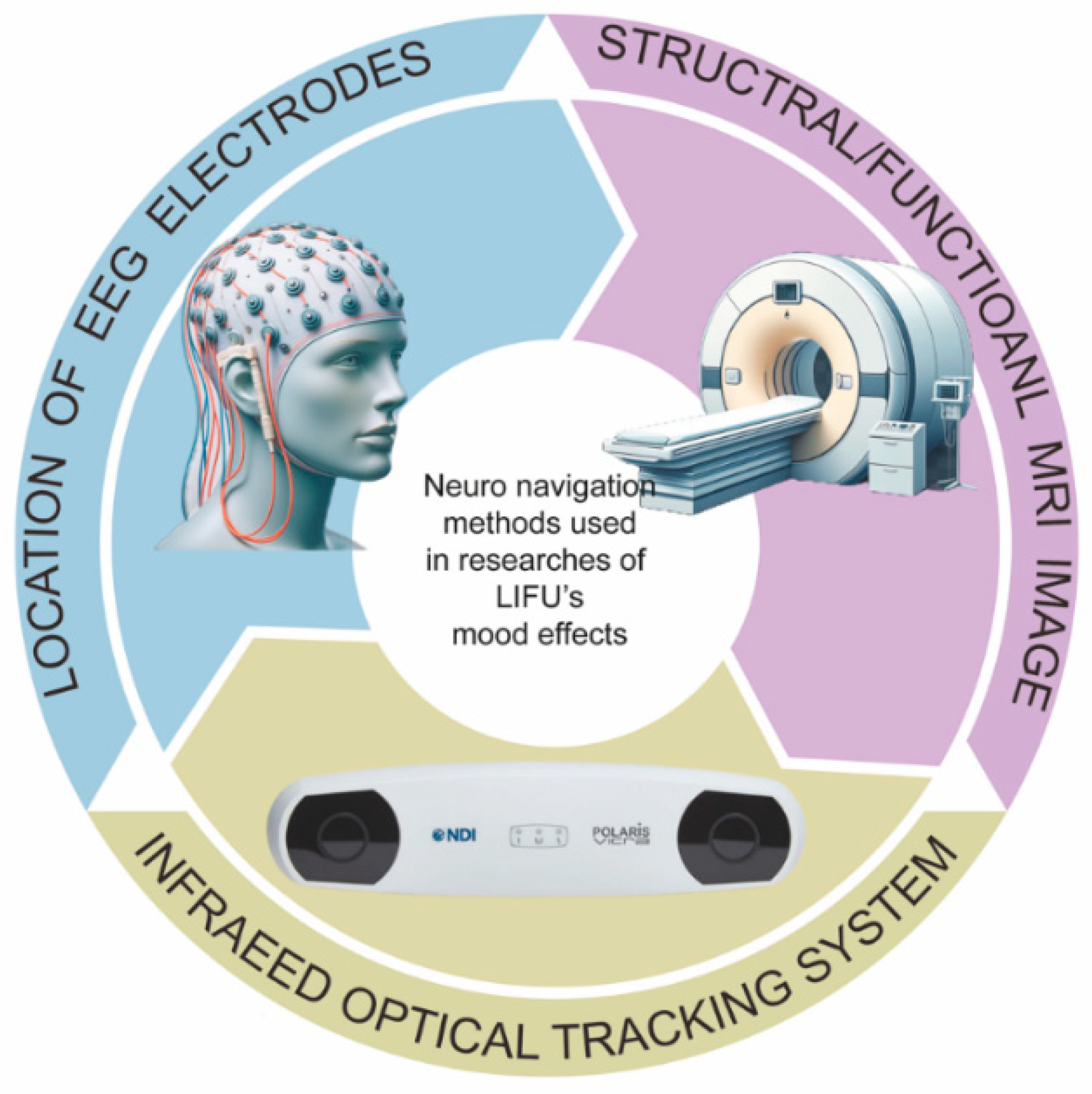 Brainsci 15 01129 g004 Brainsci 15 01129 g004