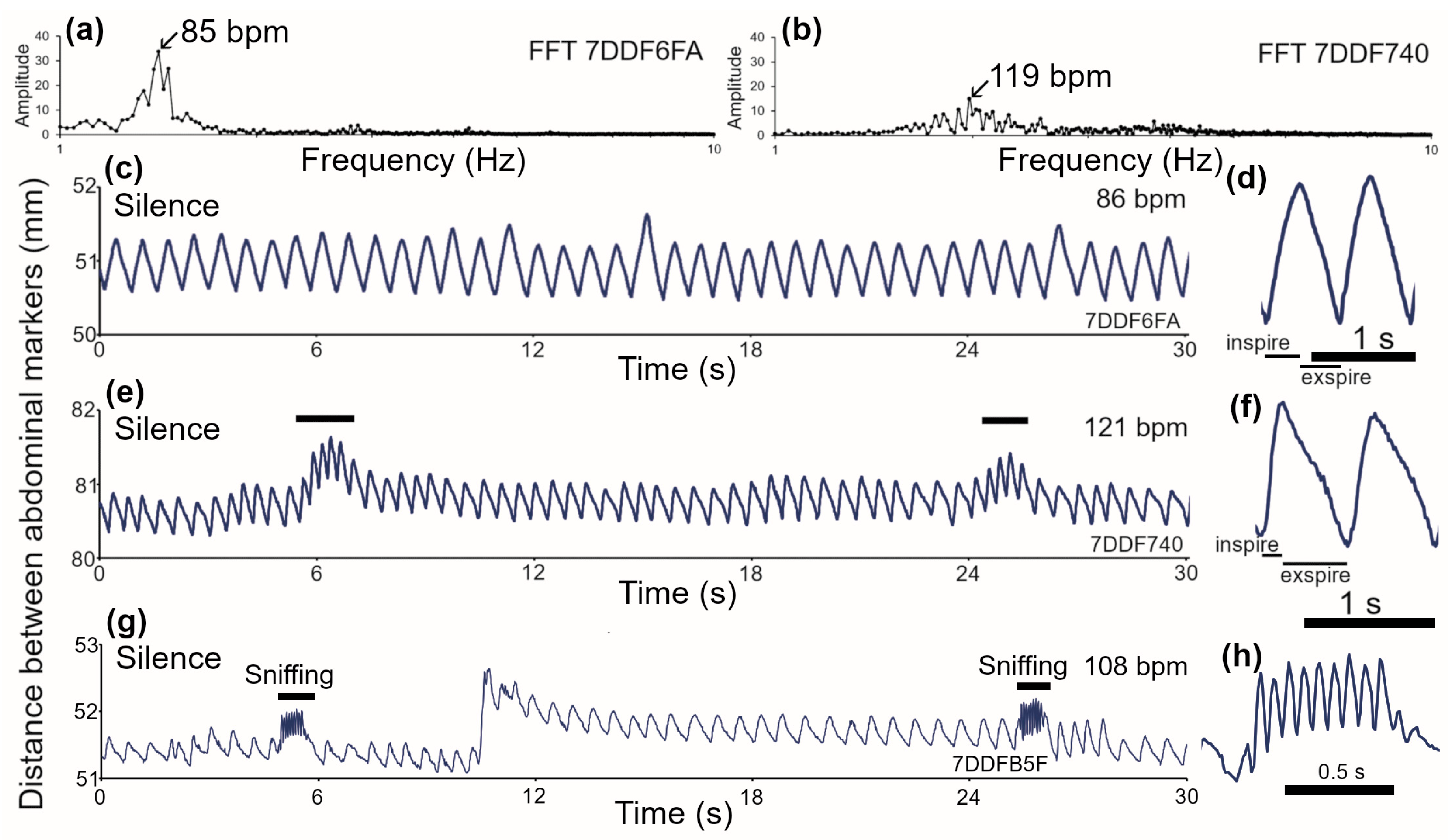 Brainsci 15 01152 g002