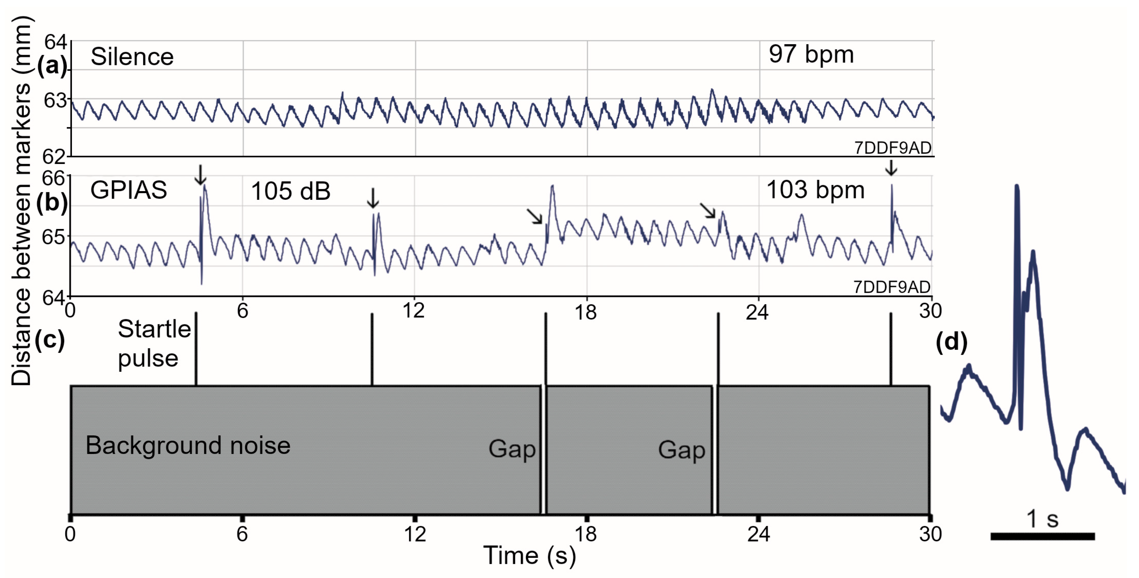 Brainsci 15 01152 g004