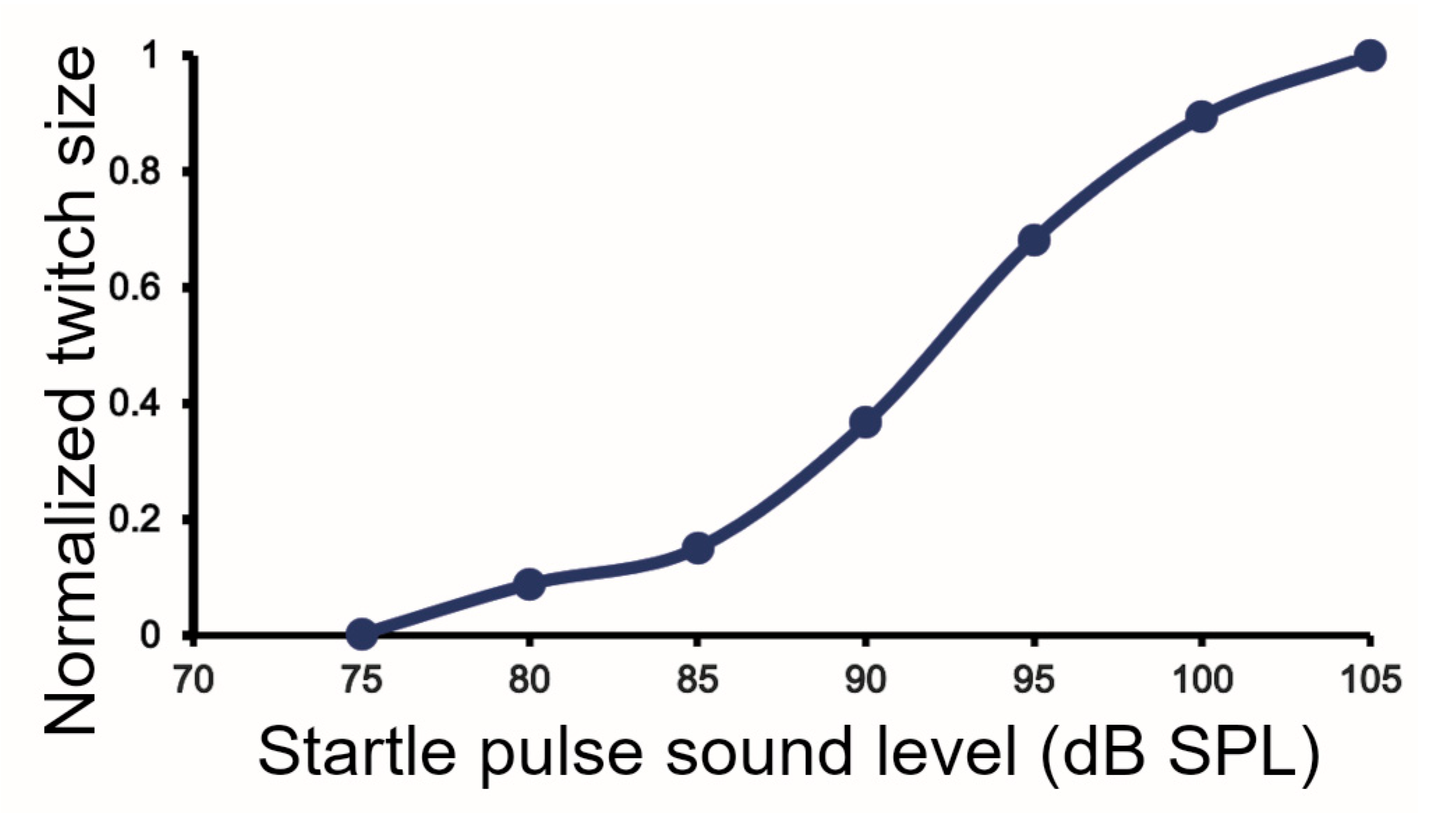 Brainsci 15 01152 g005