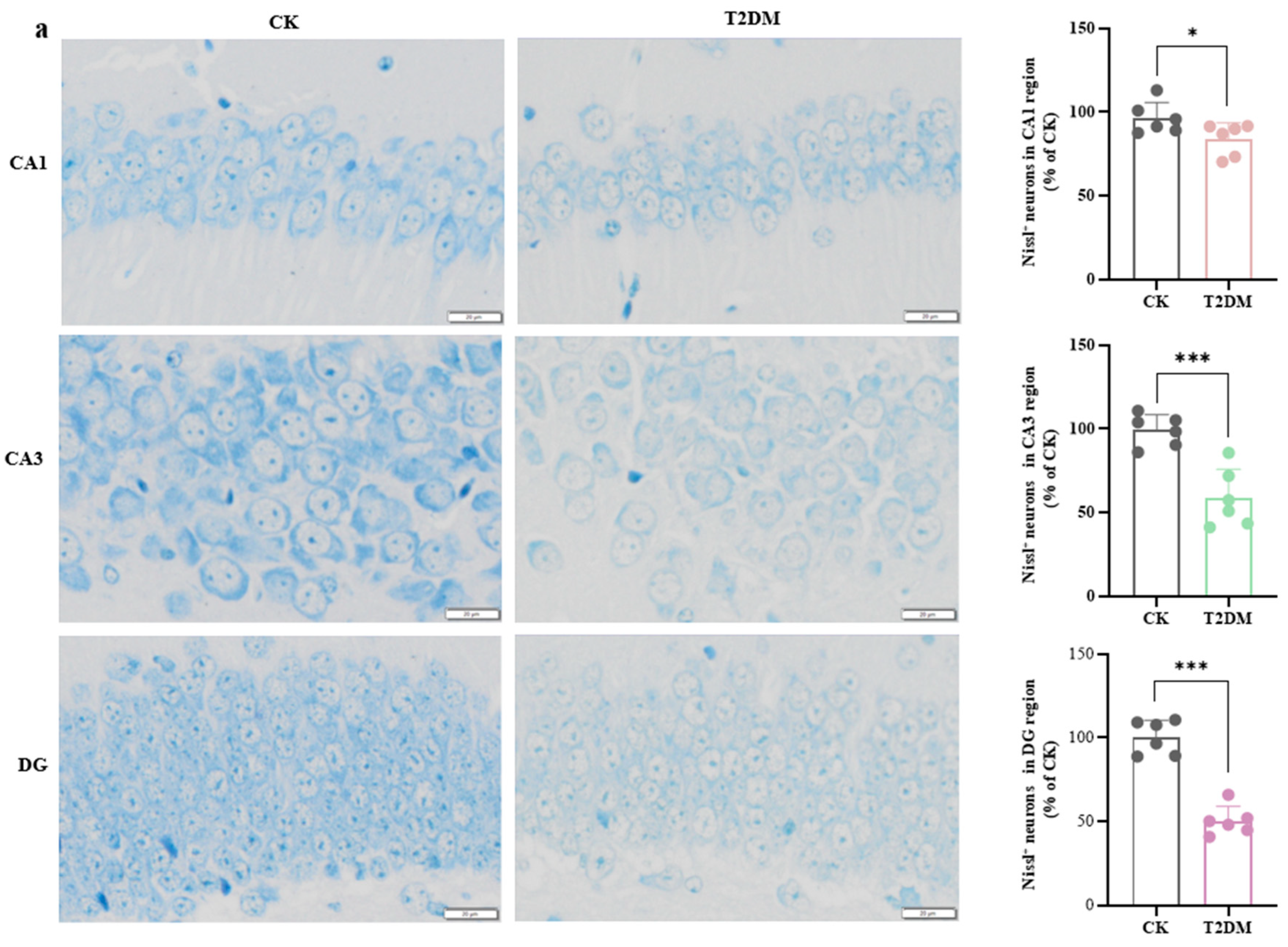Brainsci 15 01157 g002a Brainsci 15 01157 g002a