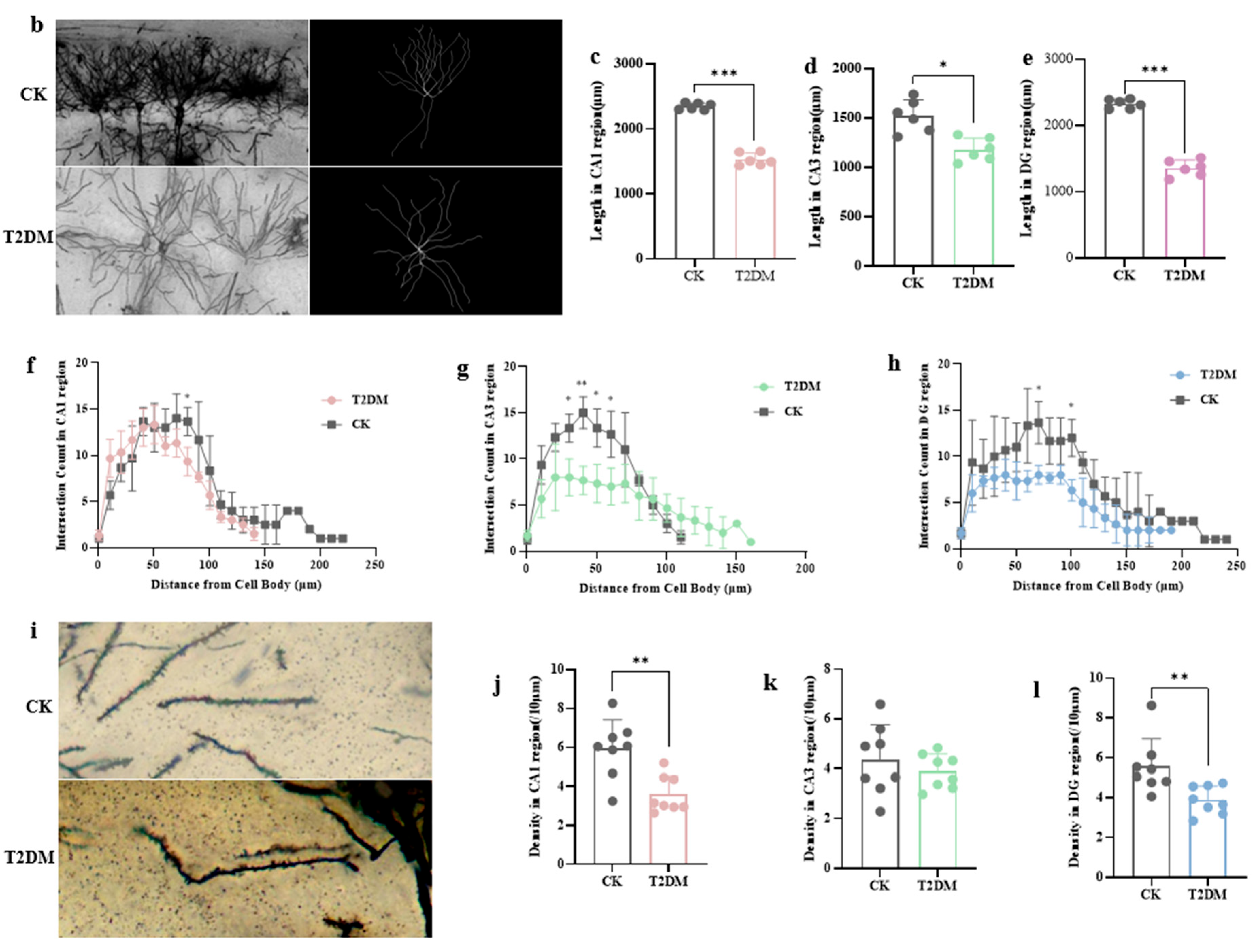 Brainsci 15 01157 g002b Brainsci 15 01157 g002b