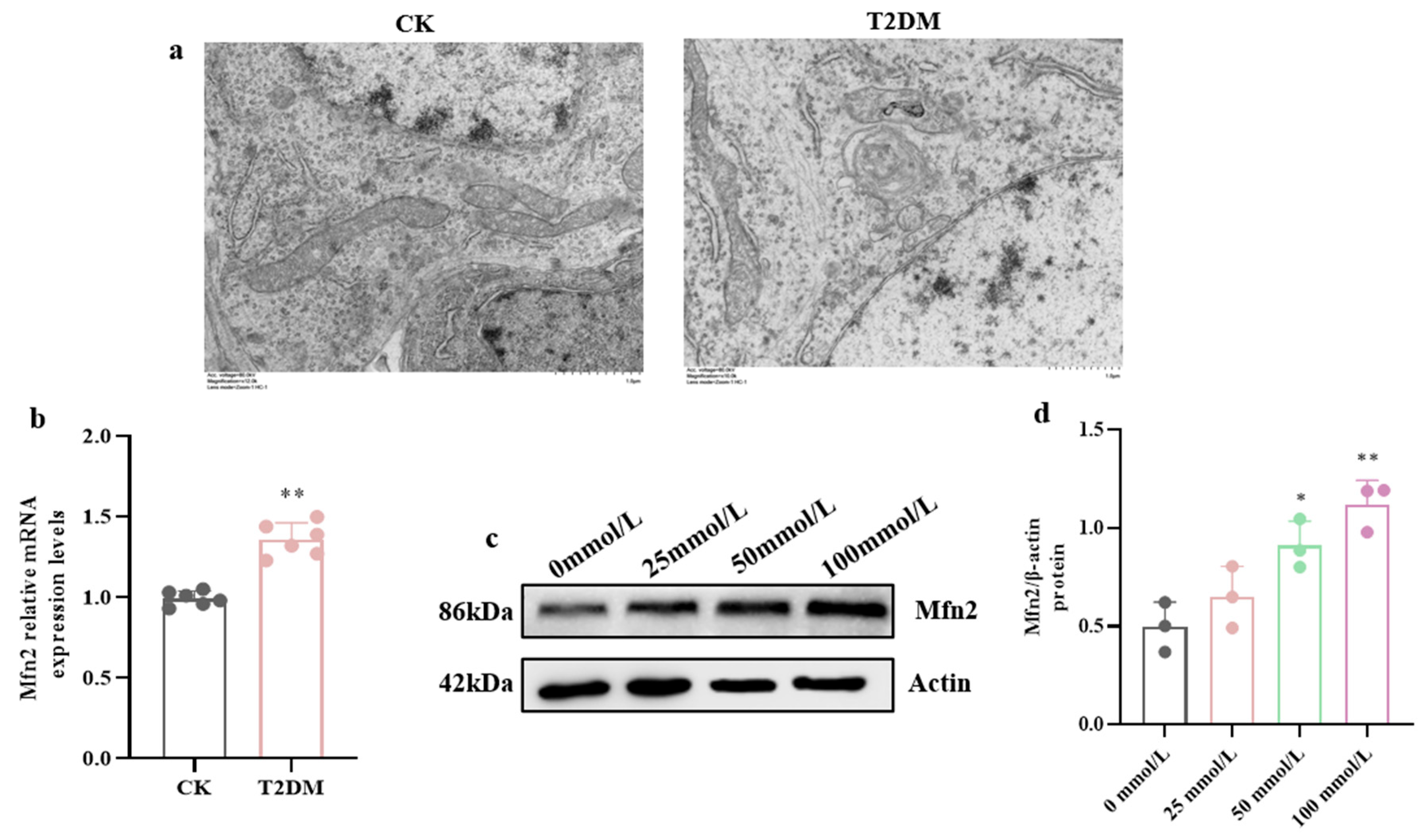 Brainsci 15 01157 g004 Brainsci 15 01157 g004