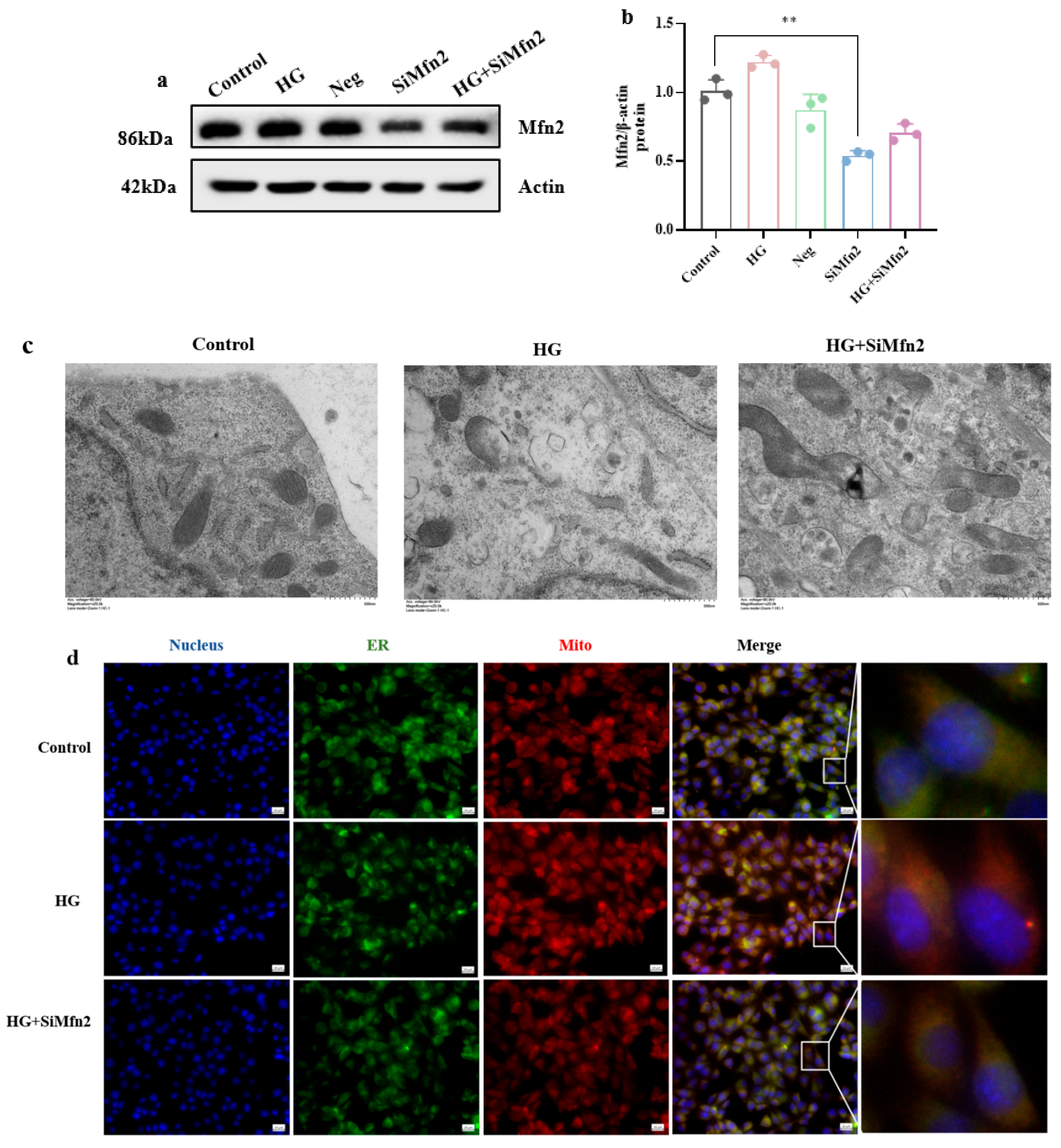 Brainsci 15 01157 g006 Brainsci 15 01157 g006