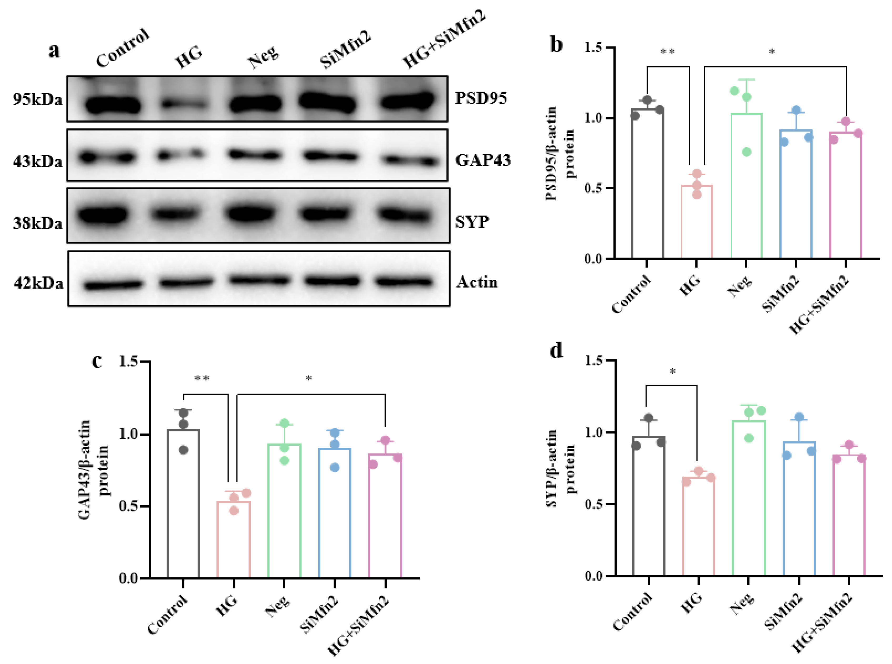 Brainsci 15 01157 g008 Brainsci 15 01157 g008