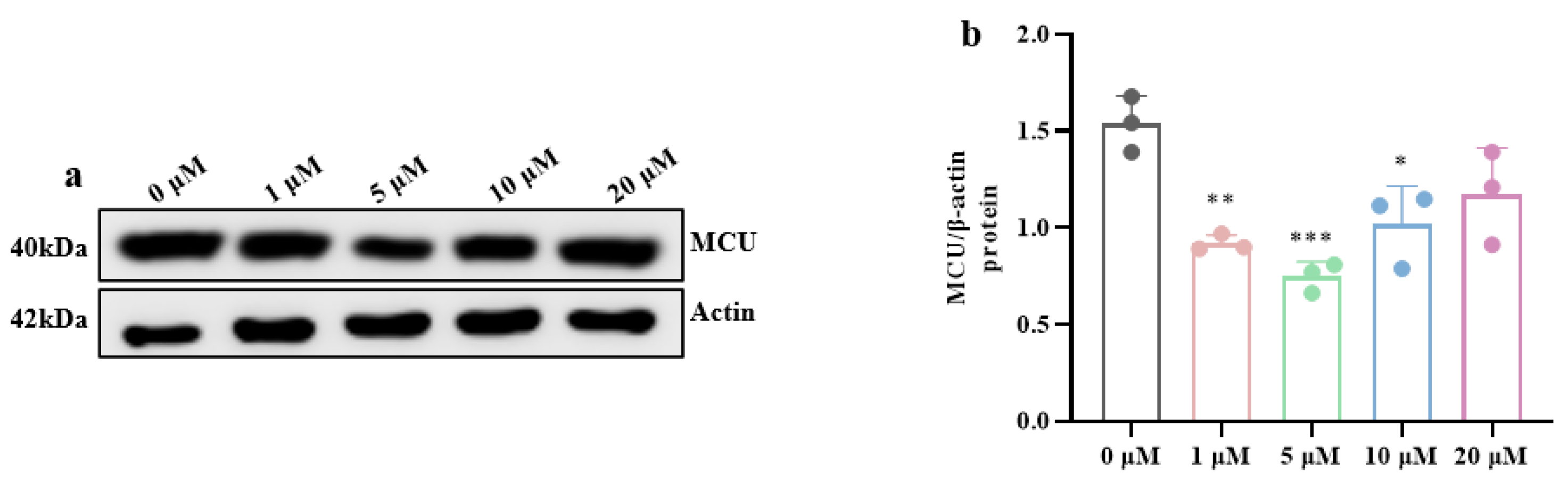 Brainsci 15 01157 g009a Brainsci 15 01157 g009a