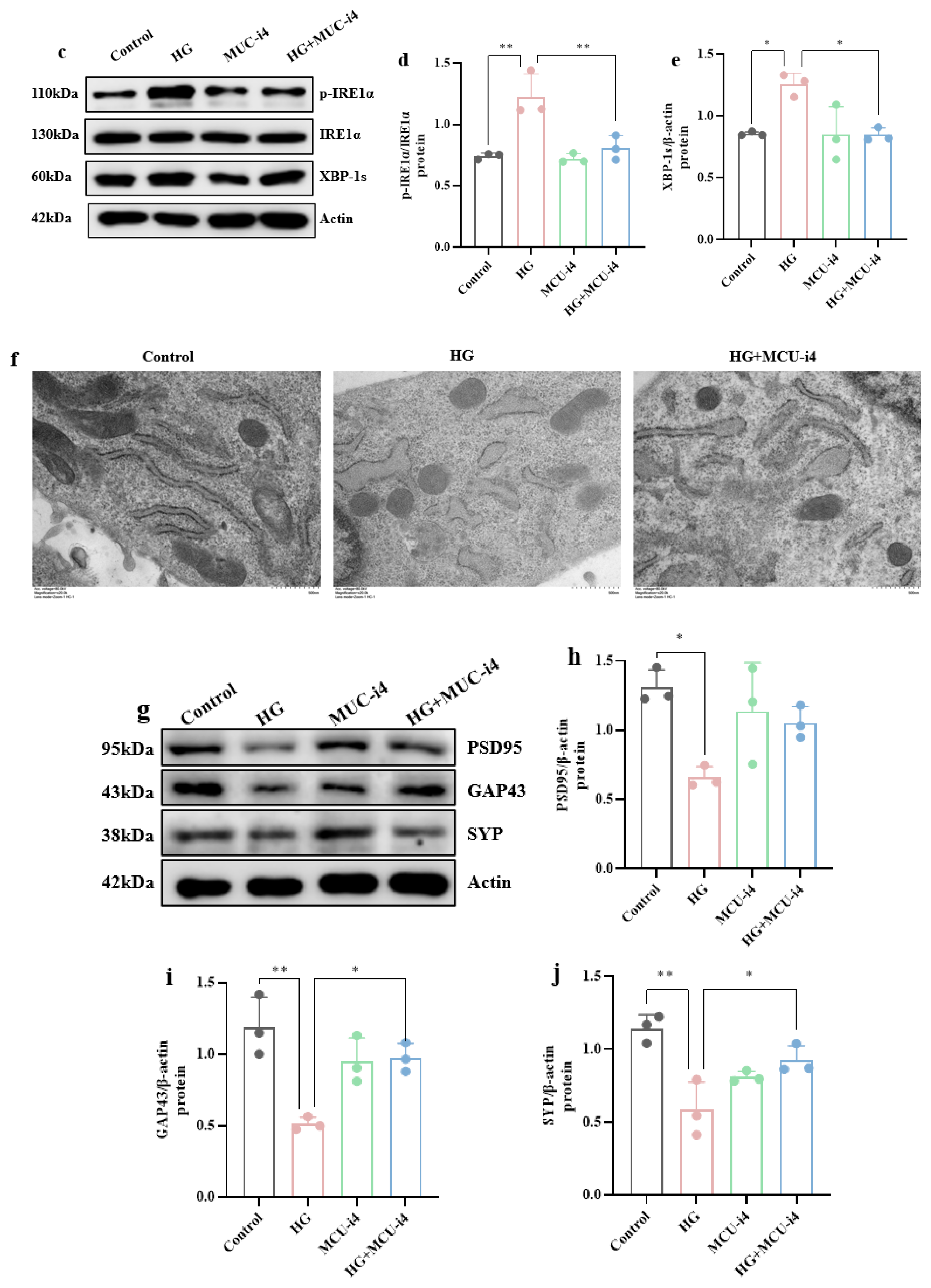 Brainsci 15 01157 g009b Brainsci 15 01157 g009b