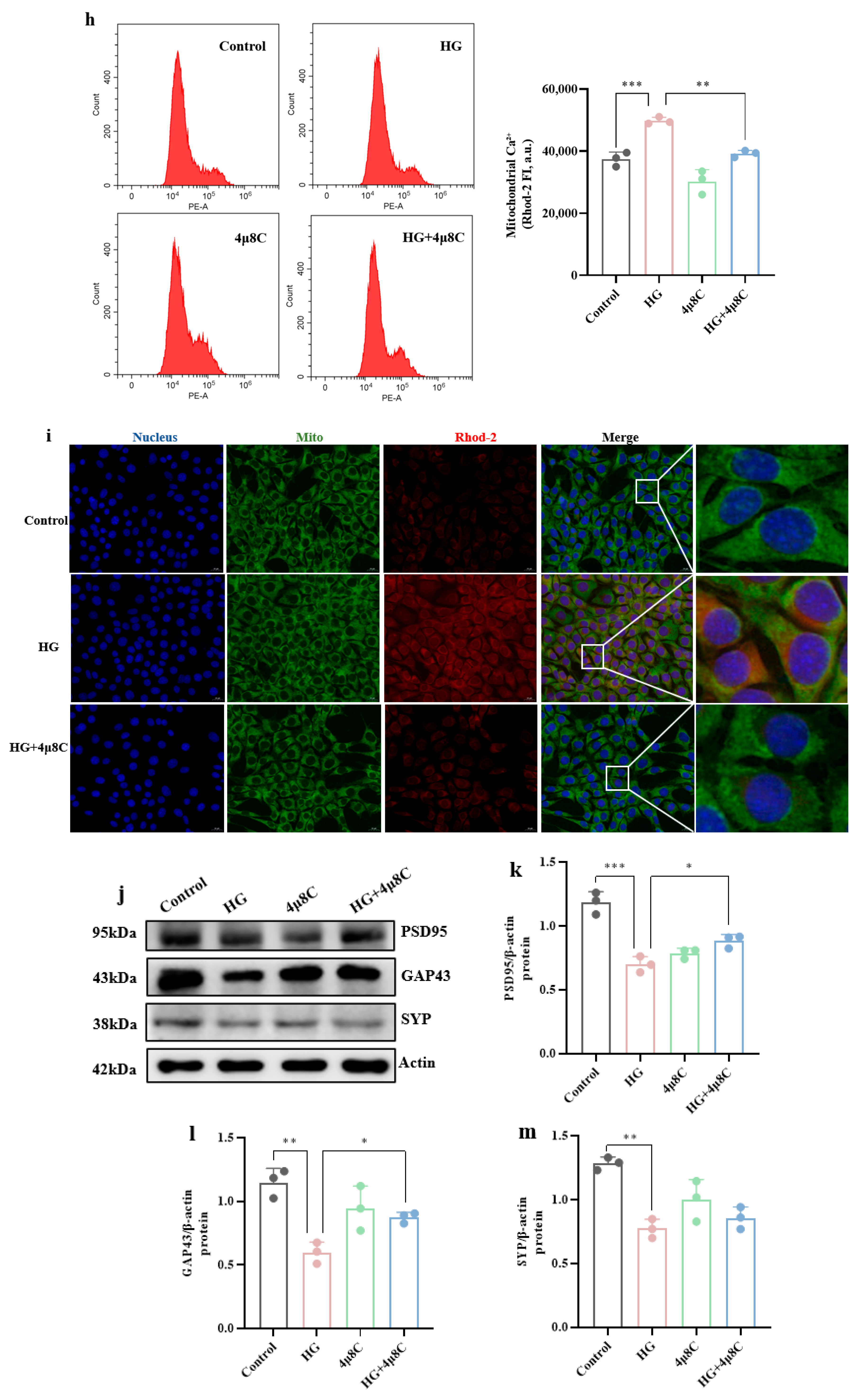 Brainsci 15 01157 g010b Brainsci 15 01157 g010b