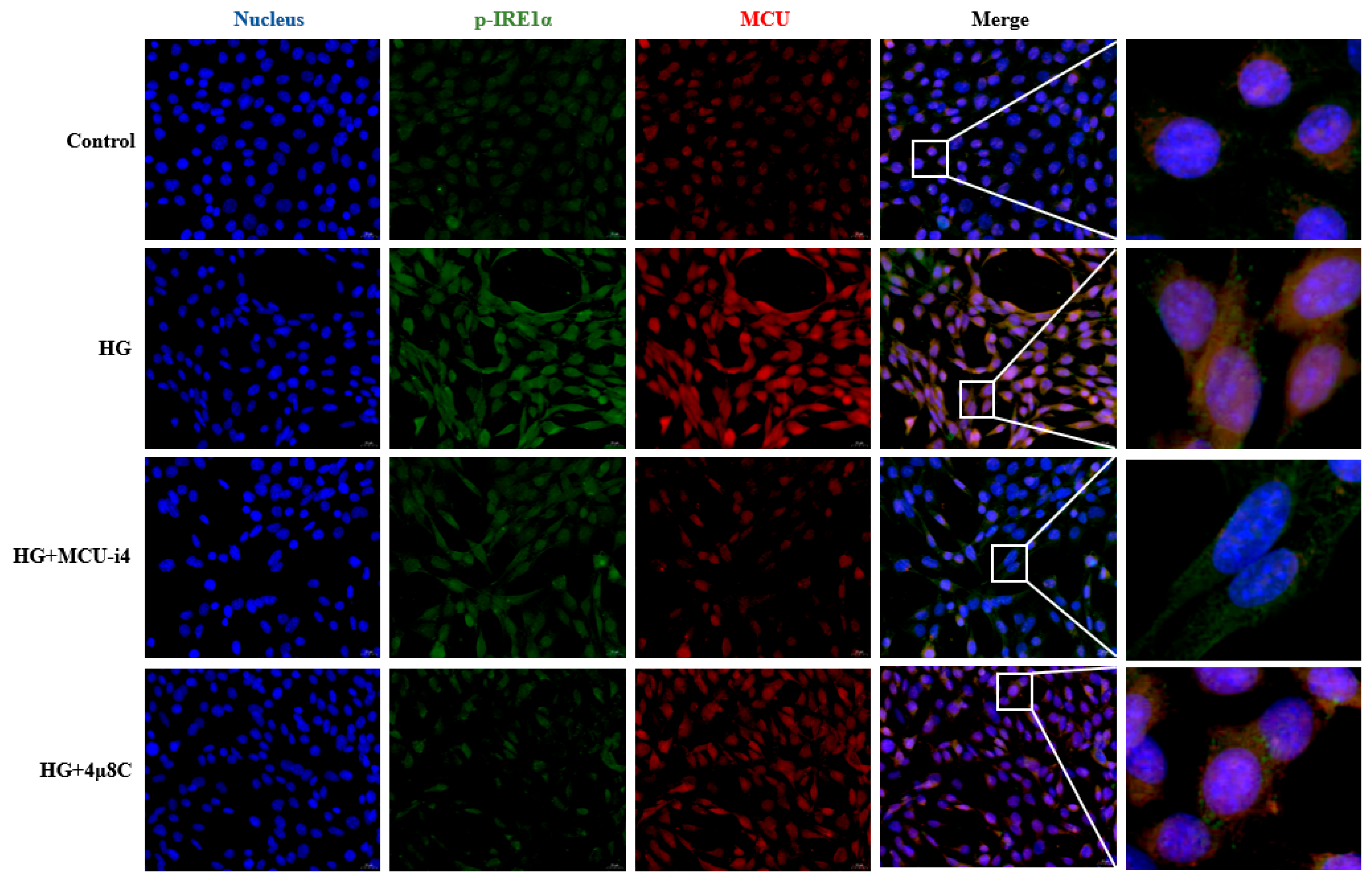 Brainsci 15 01157 g011 Brainsci 15 01157 g011
