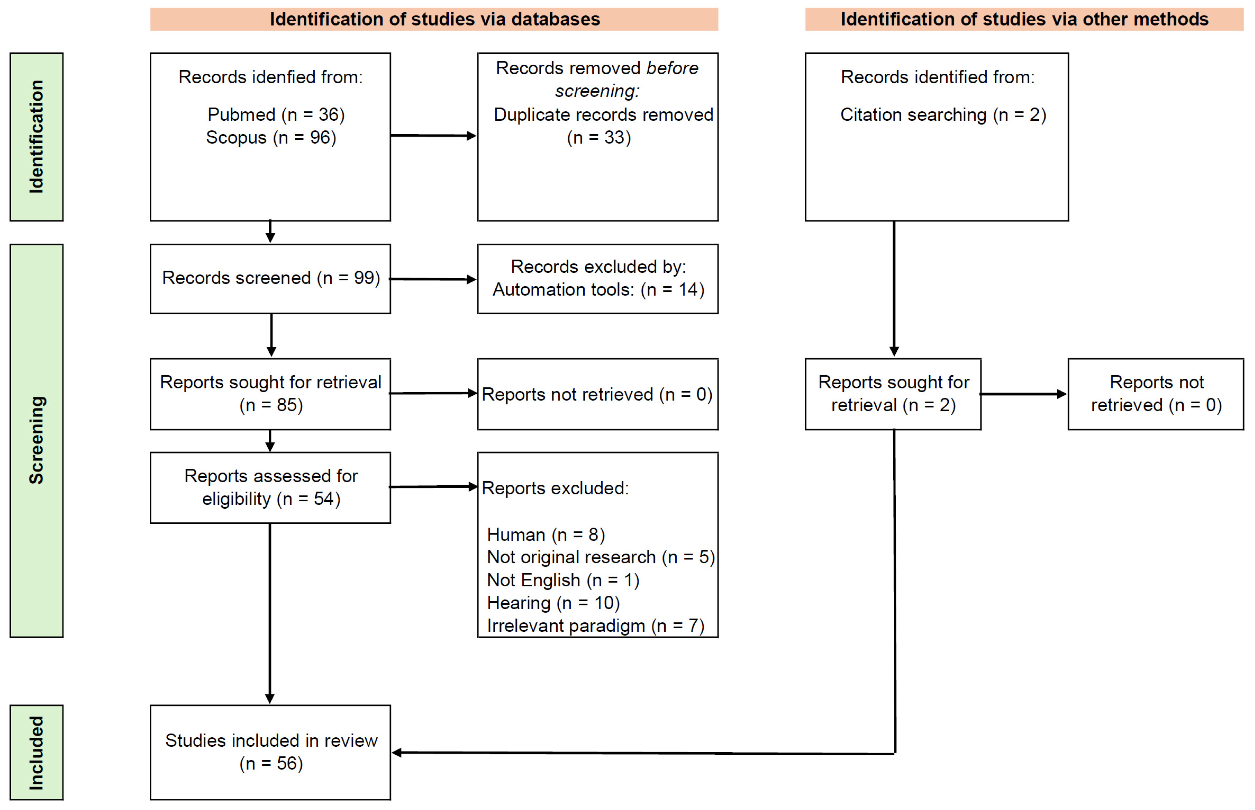 Brainsci 15 01159 g001 Brainsci 15 01159 g001