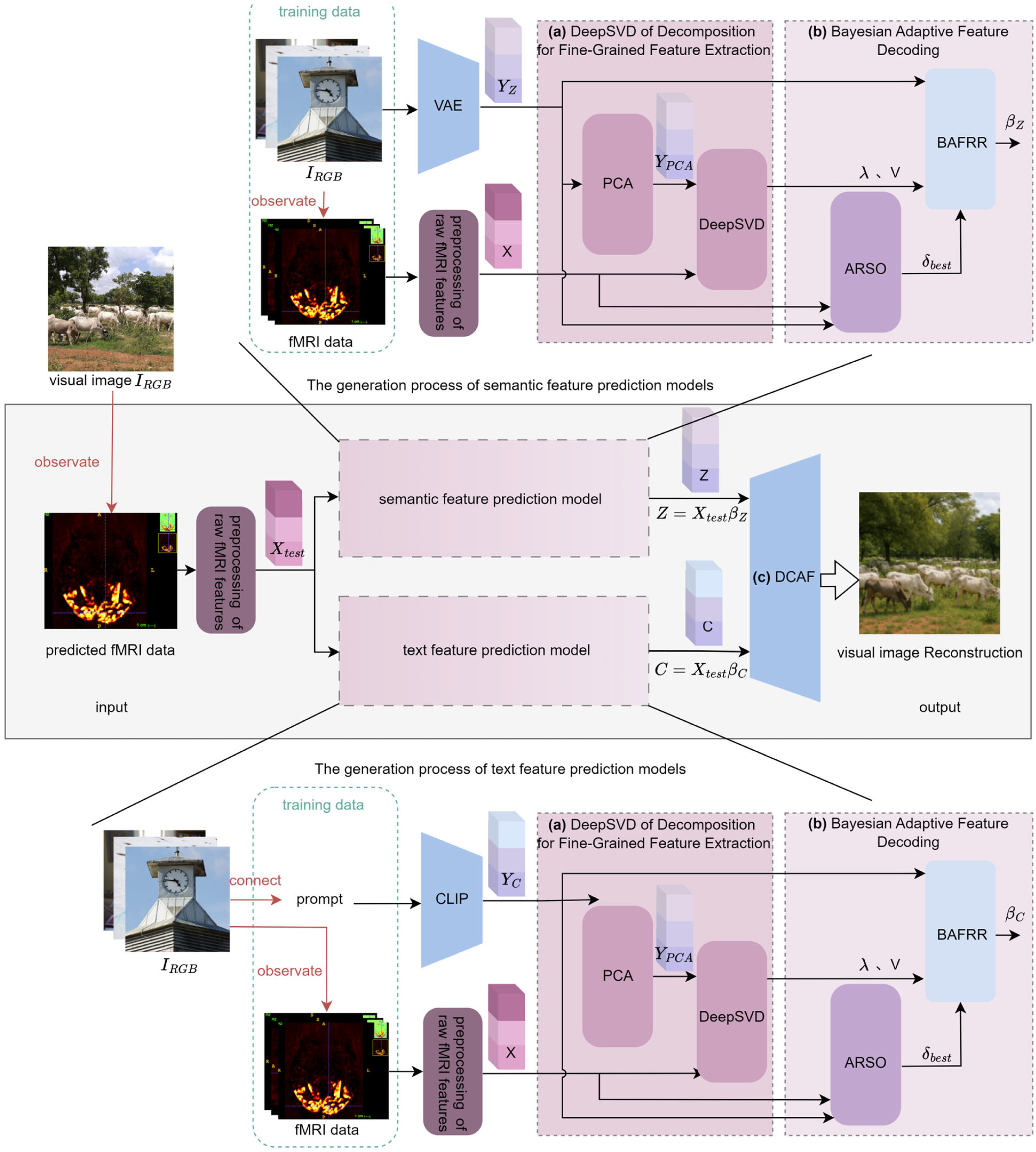 Brainsci 15 01166 g001 Brainsci 15 01166 g001