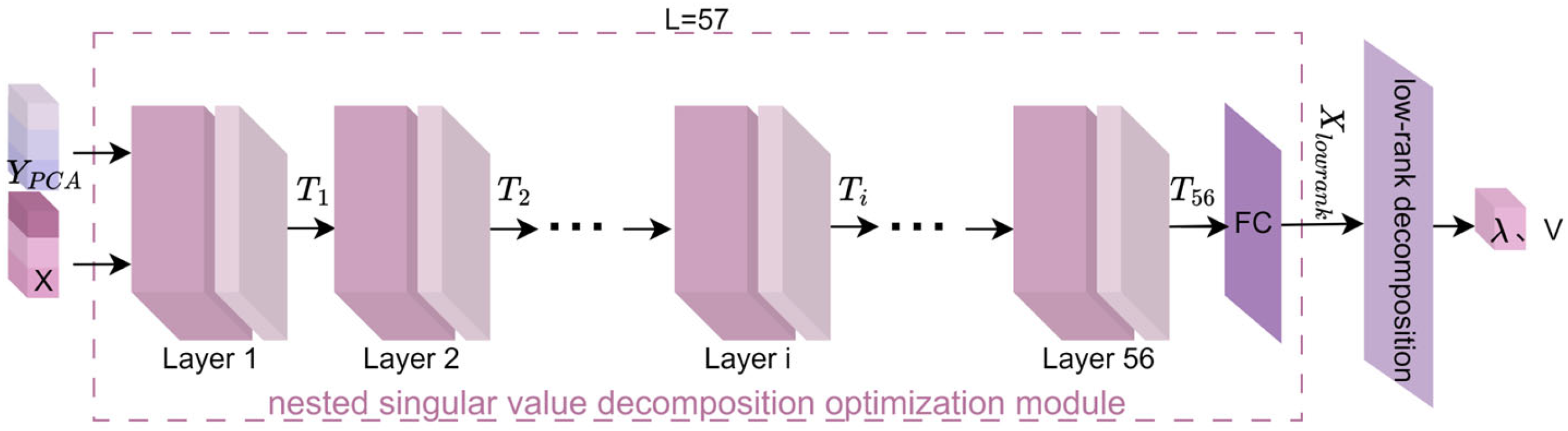 Brainsci 15 01166 g002 Brainsci 15 01166 g002