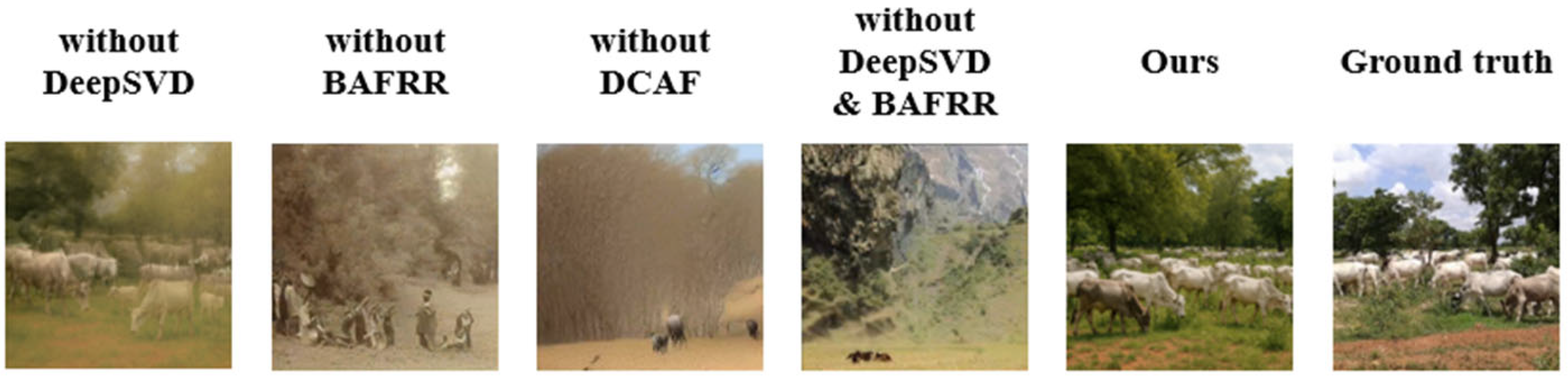 Brainsci 15 01166 g010 Brainsci 15 01166 g010