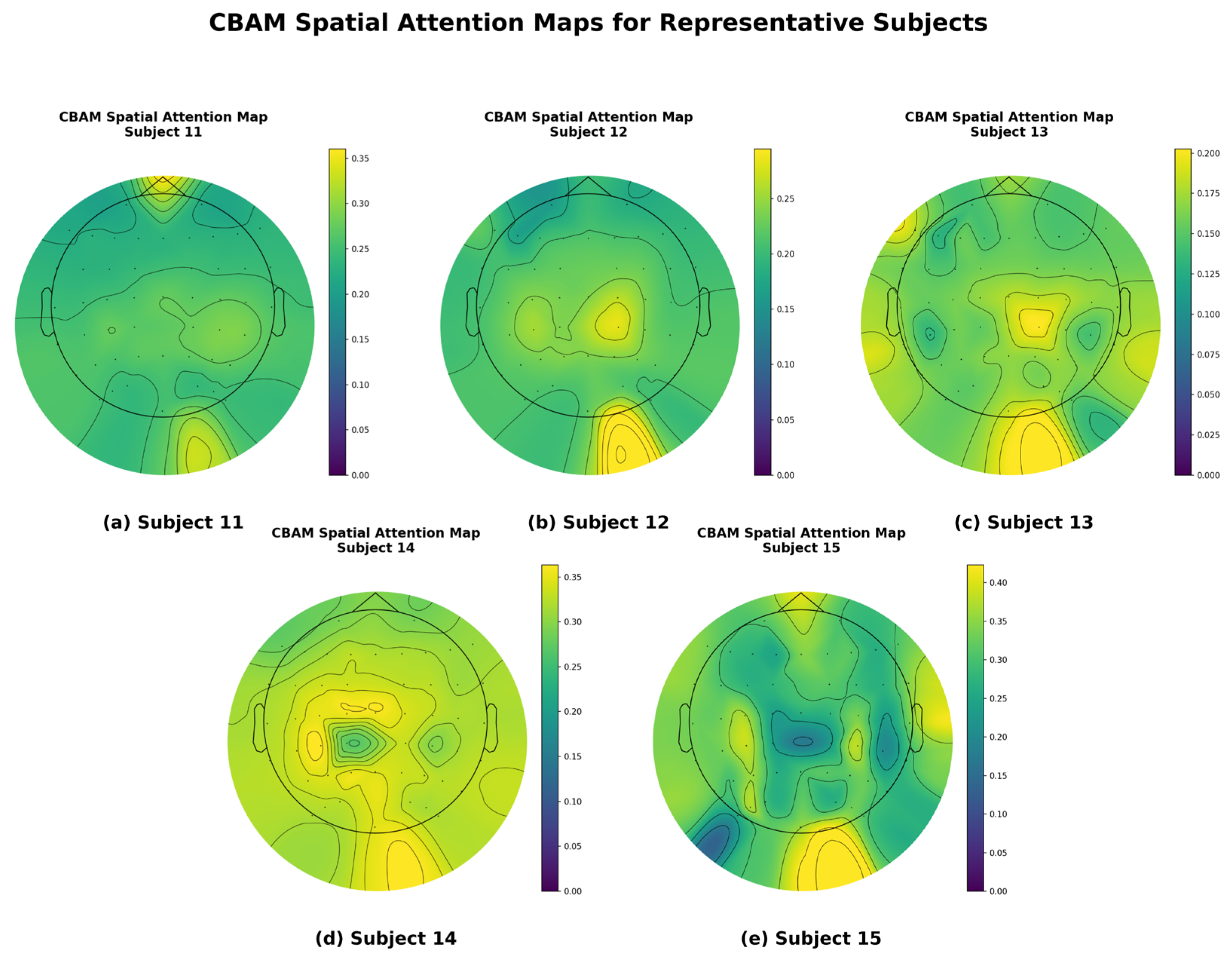 Brainsci 15 01167 g008