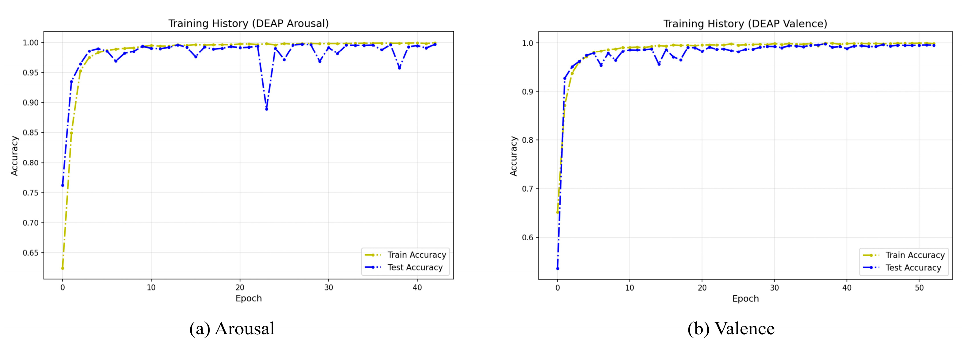 Brainsci 15 01167 g012