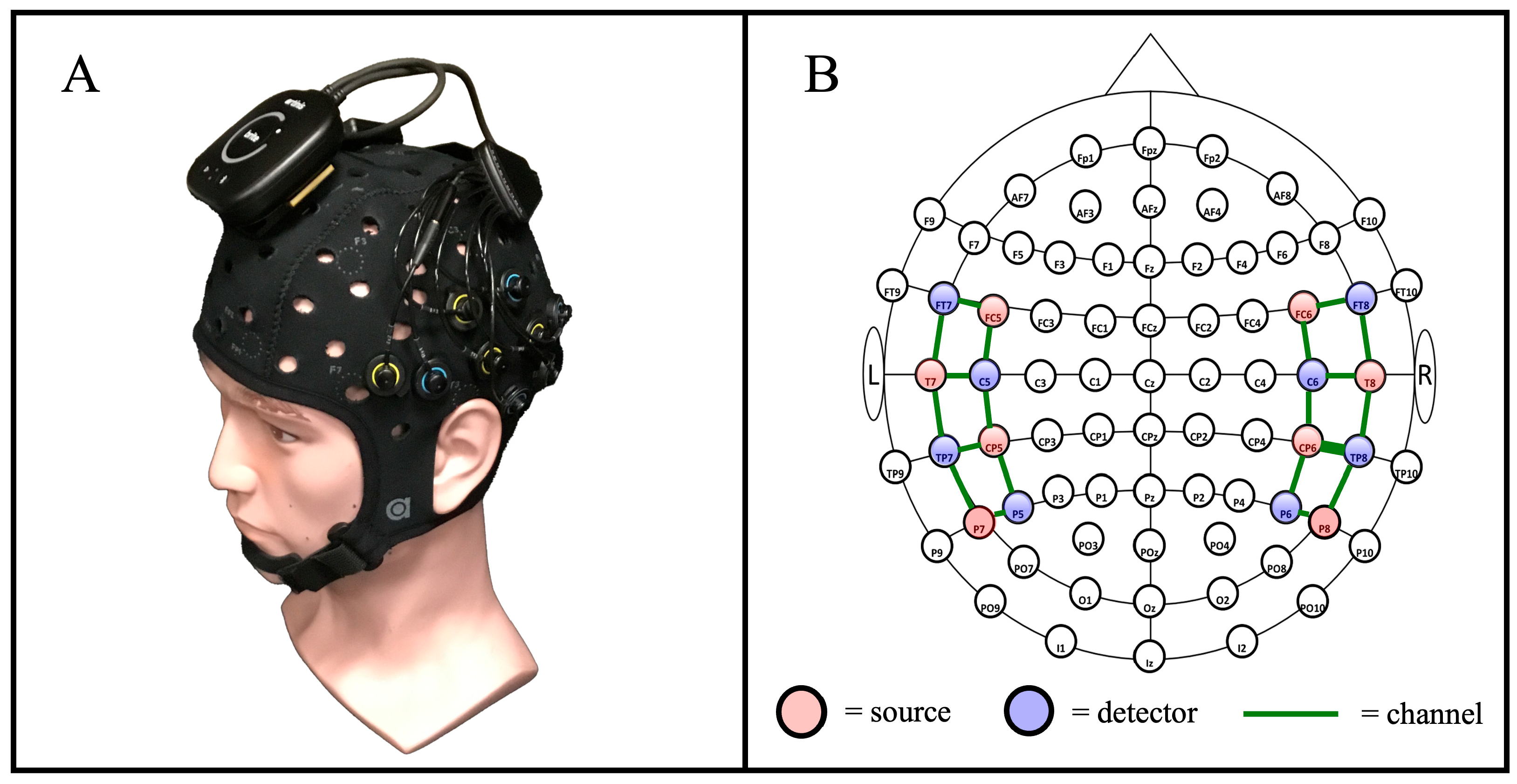 Brainsci 15 01172 g003