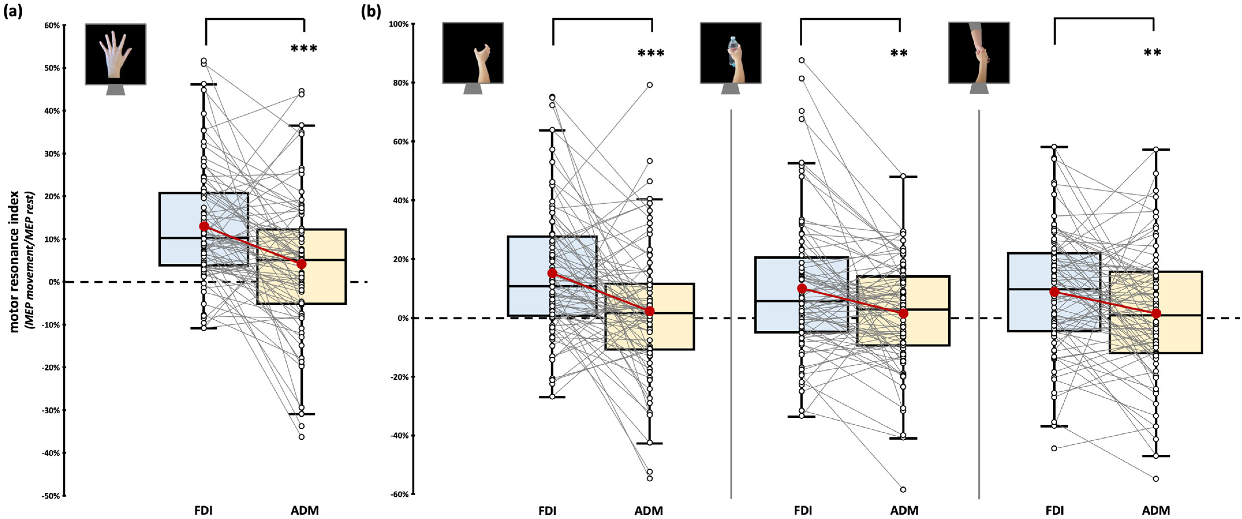 Brainsci 15 01174 g003 Brainsci 15 01174 g003