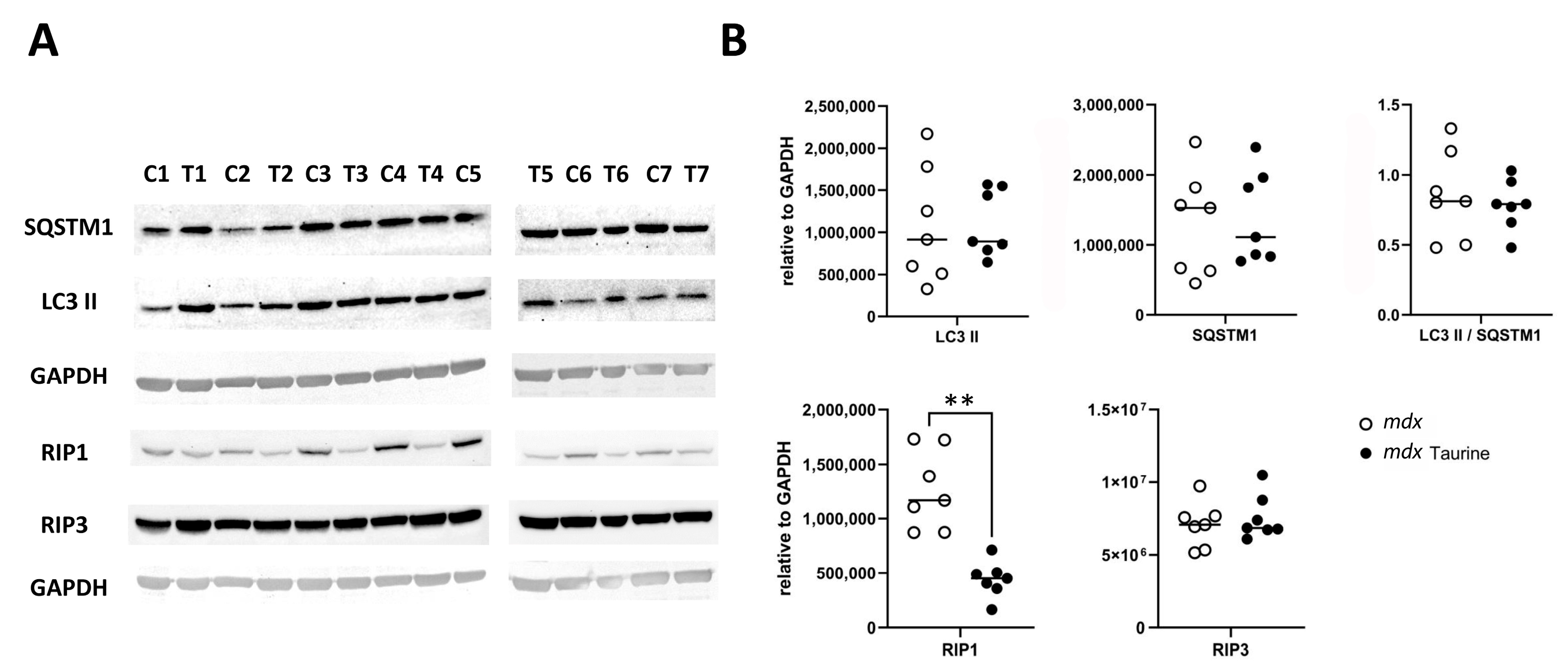 Brainsci 15 01175 g002
