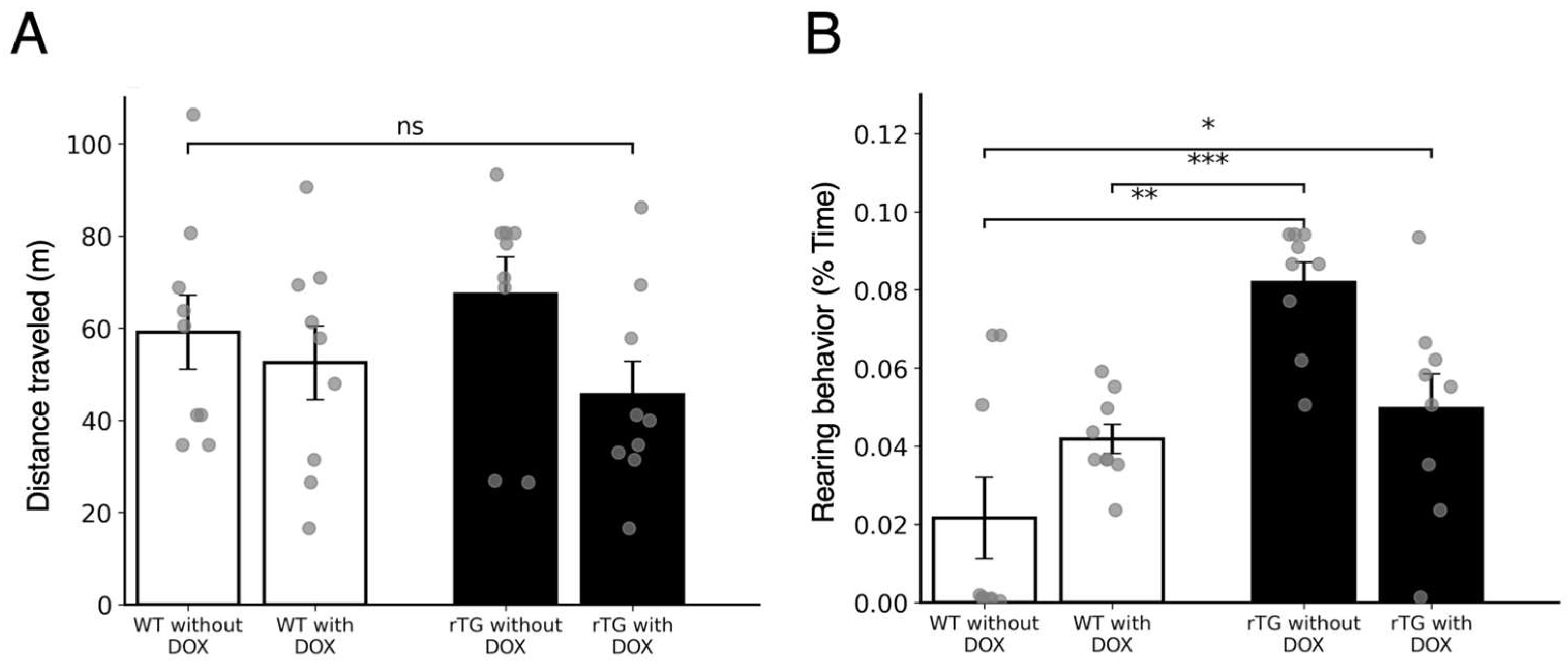 Brainsci 15 01183 g001