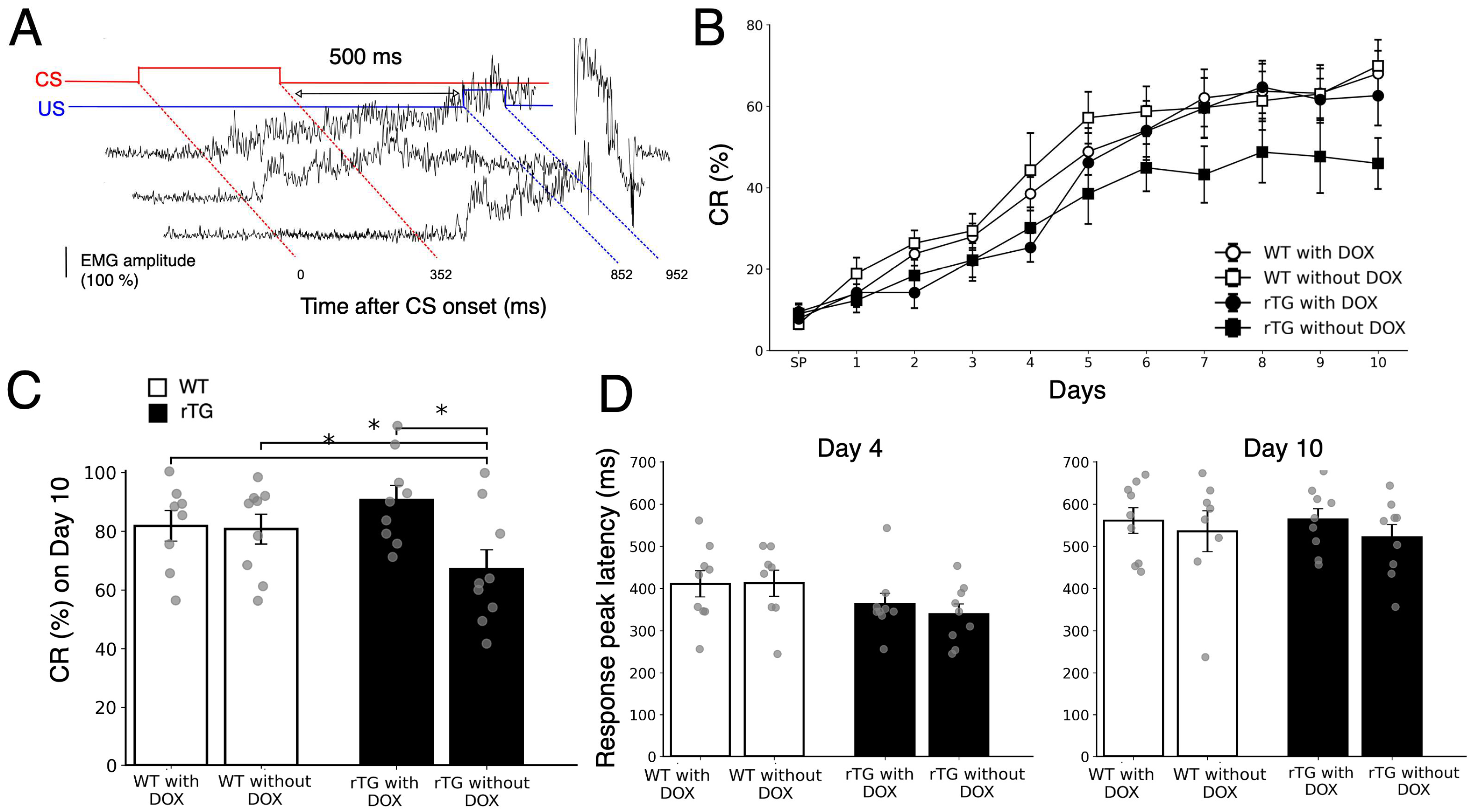 Brainsci 15 01183 g002
