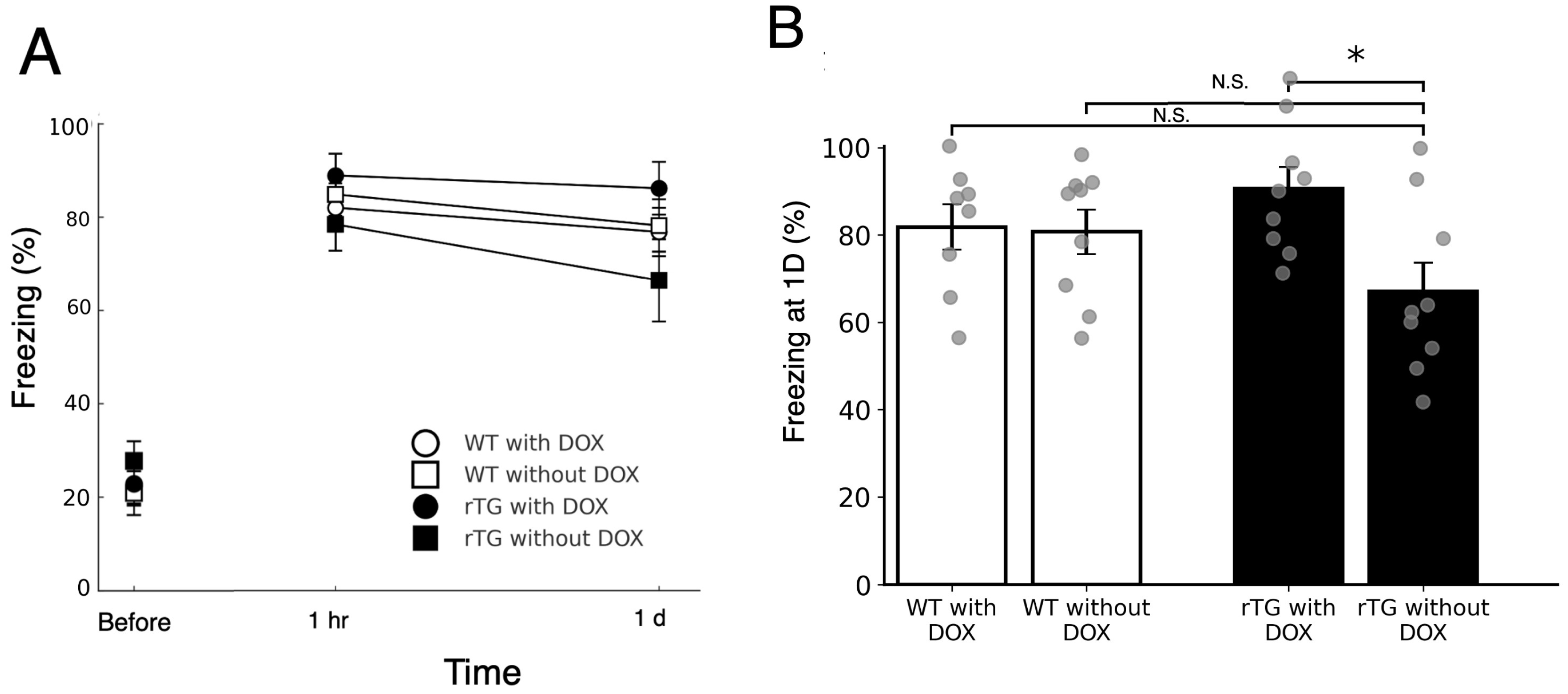 Brainsci 15 01183 g003
