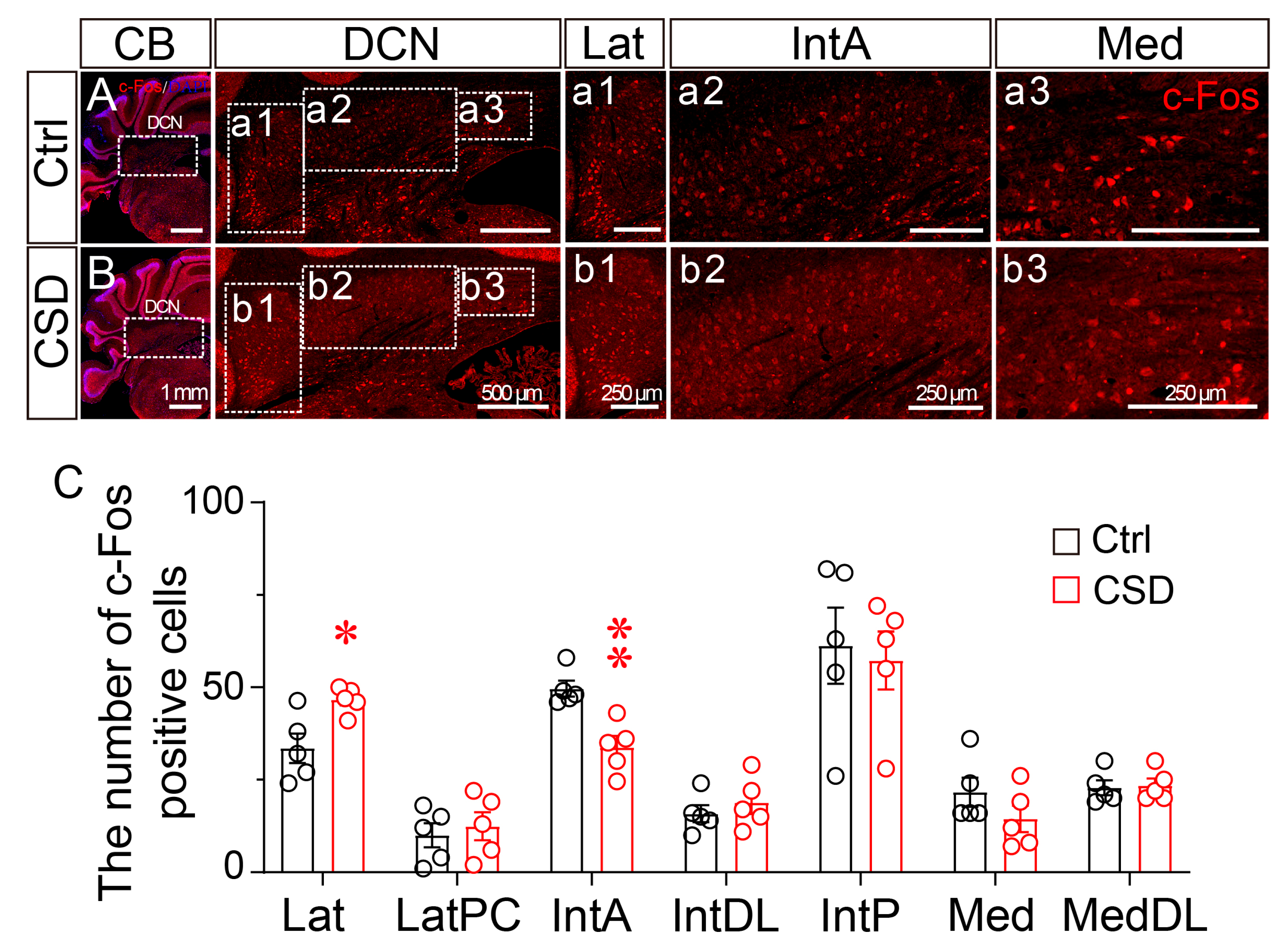 Brainsci 15 01185 g003