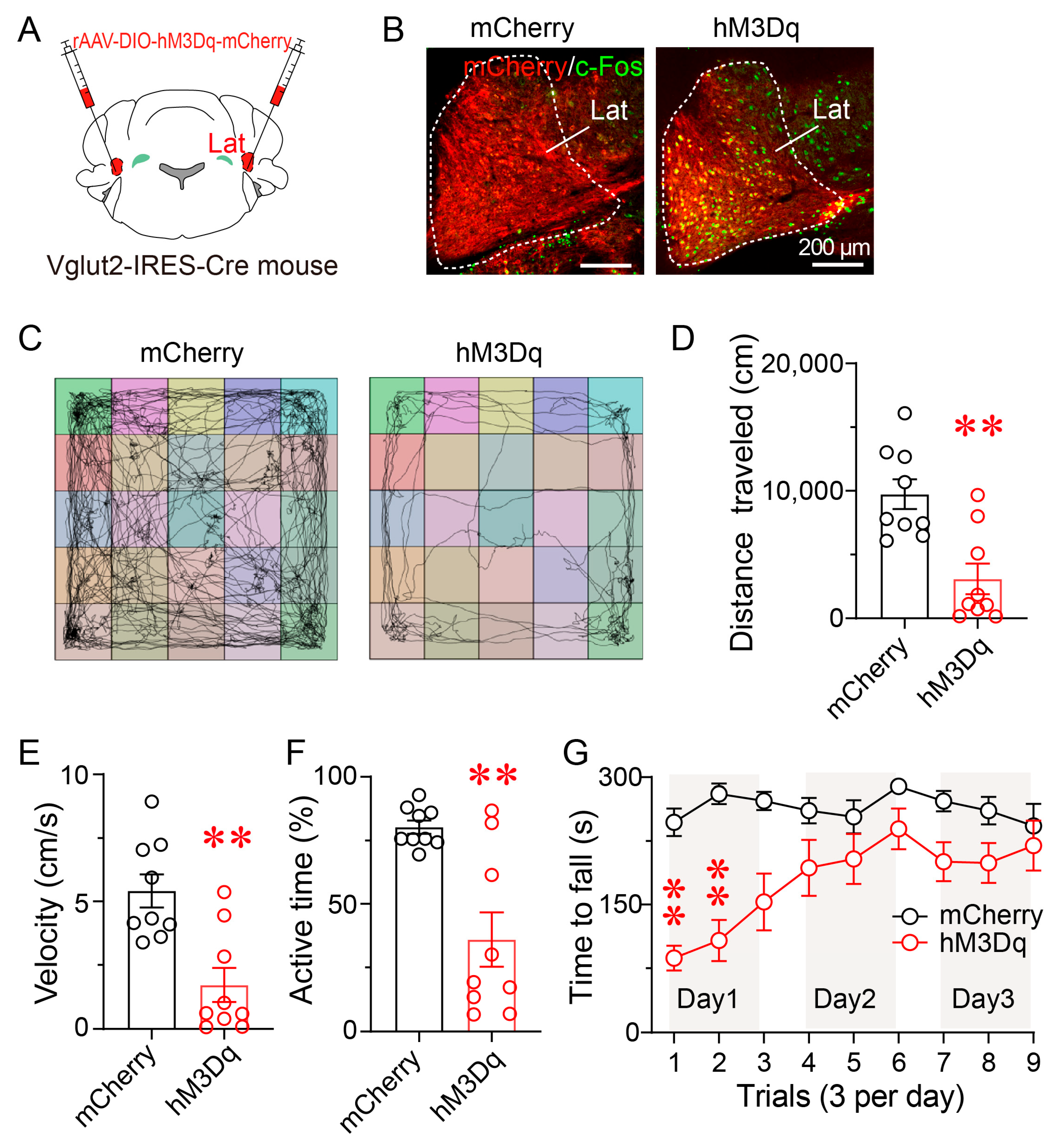 Brainsci 15 01185 g004
