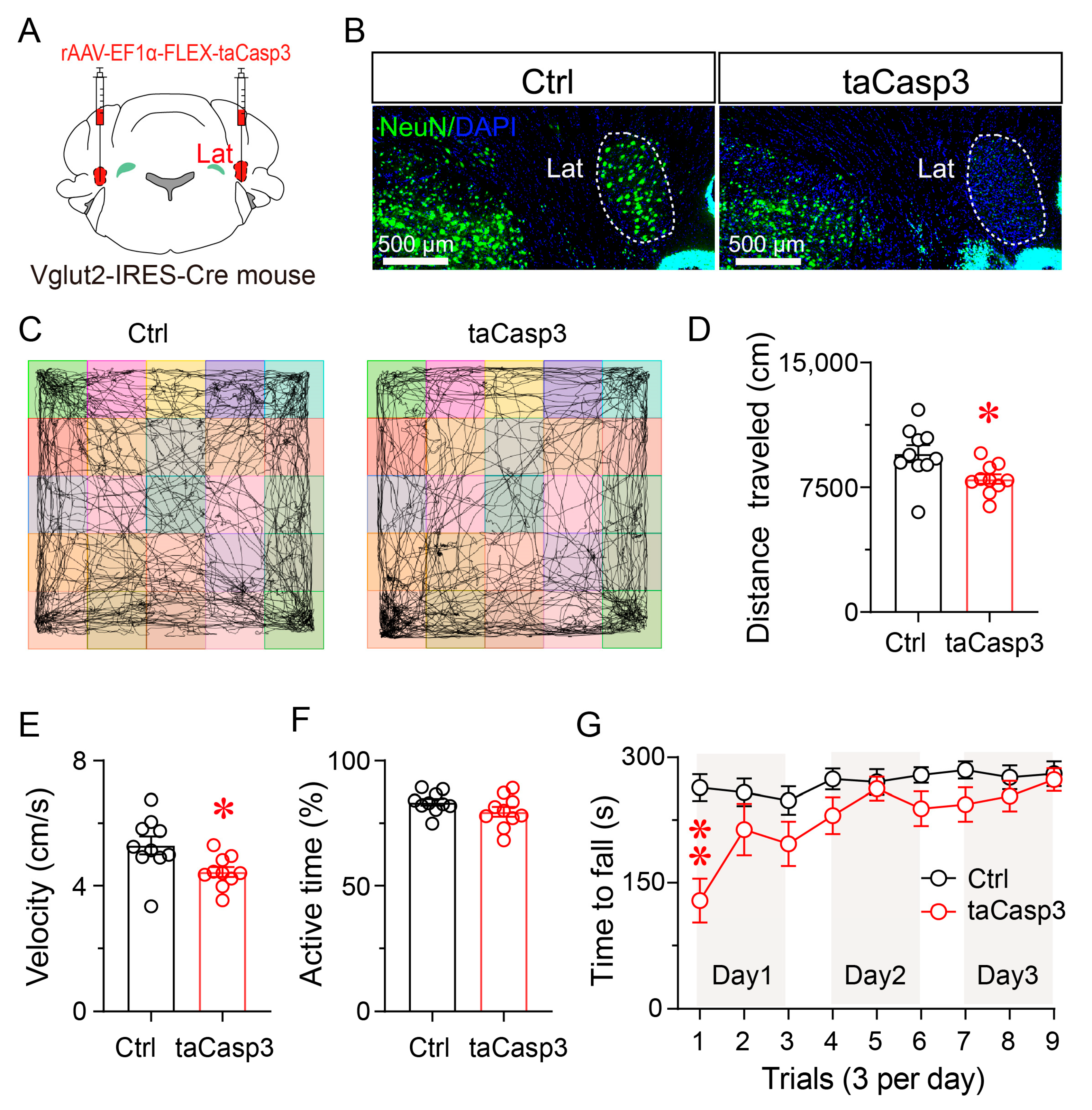 Brainsci 15 01185 g005