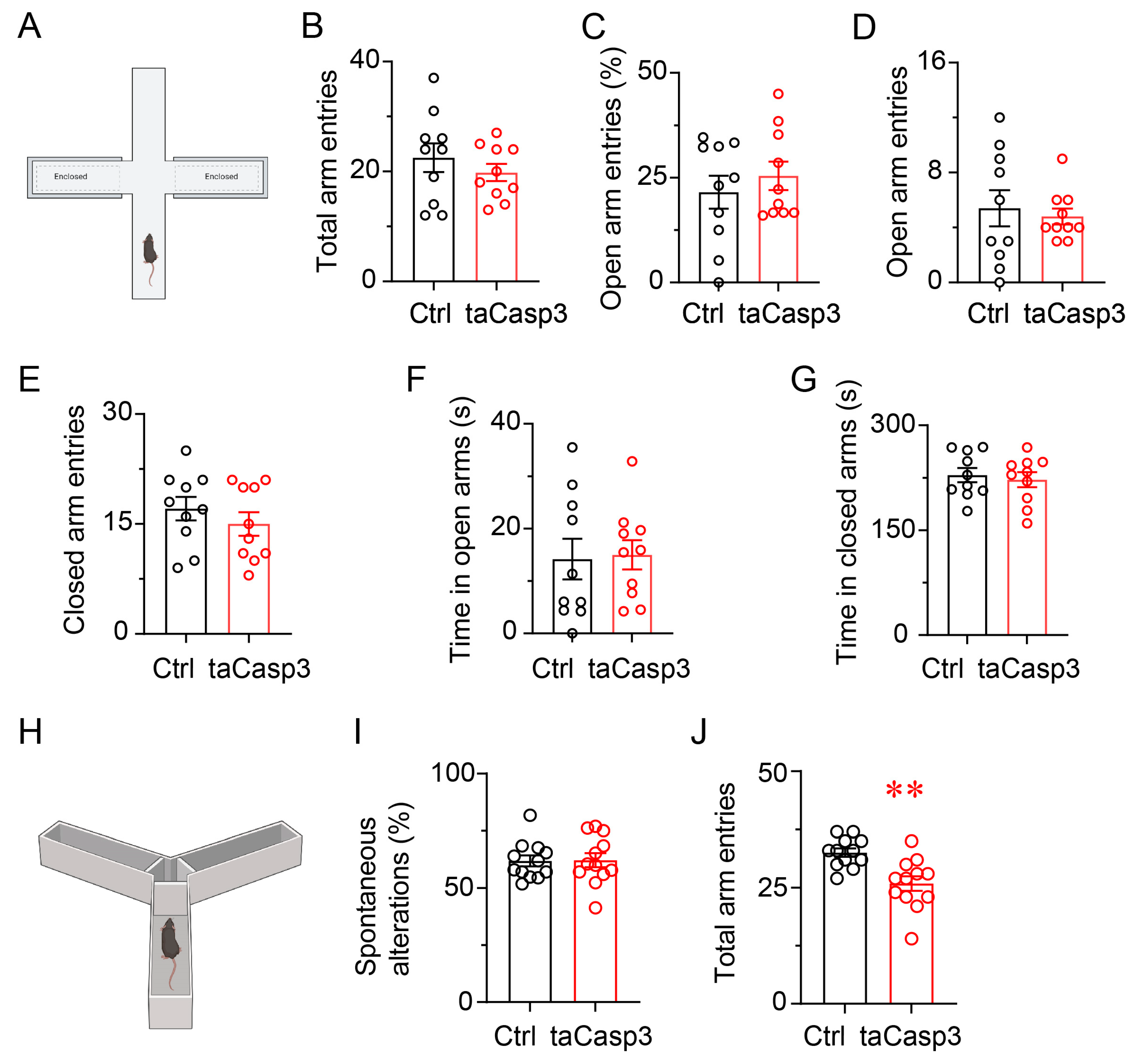 Brainsci 15 01185 g006