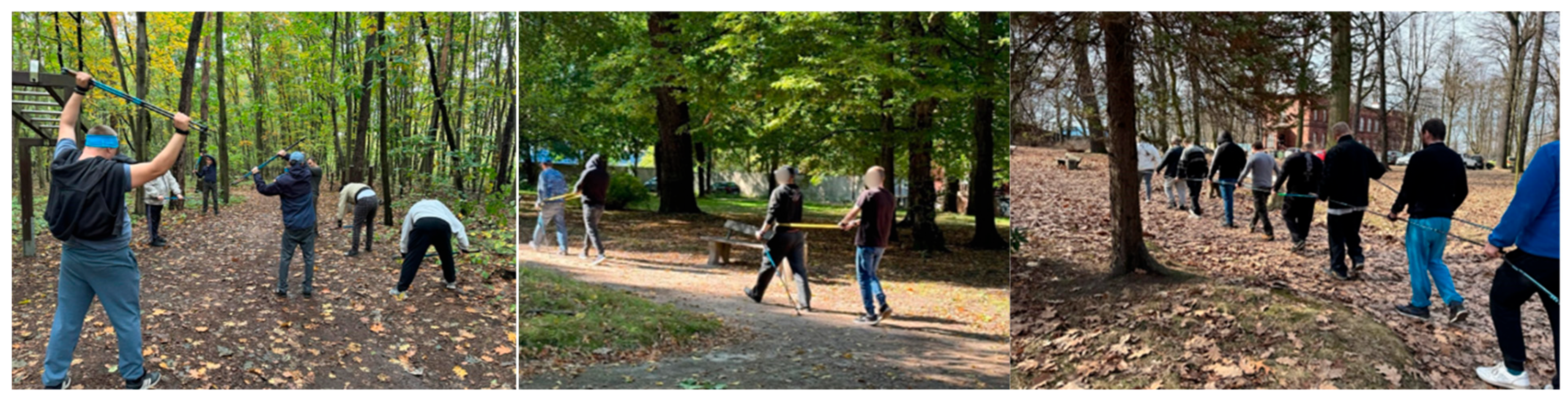 Brainsci 15 01189 g003 Brainsci 15 01189 g003