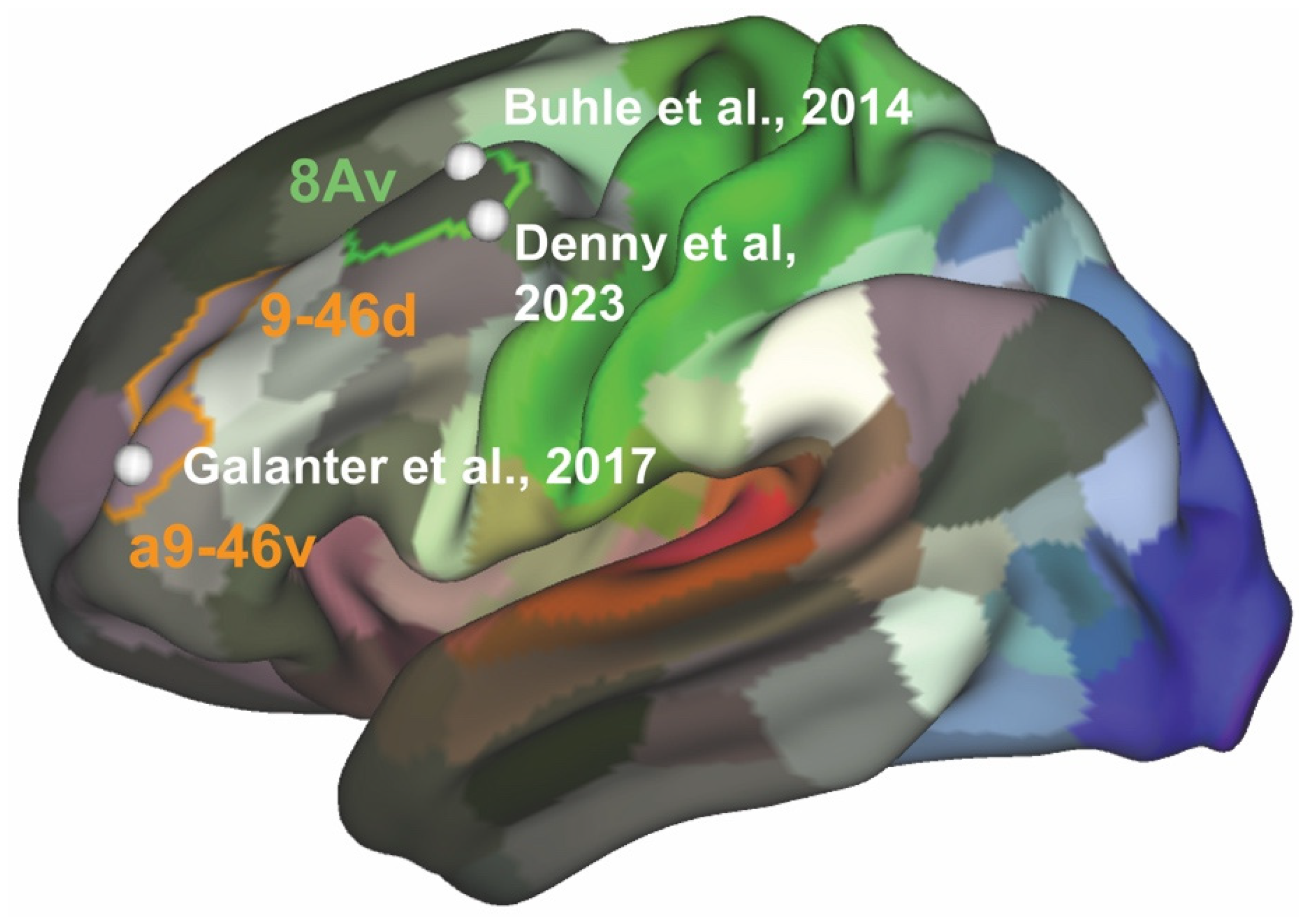 Brainsci 15 01190 g002 Brainsci 15 01190 g002