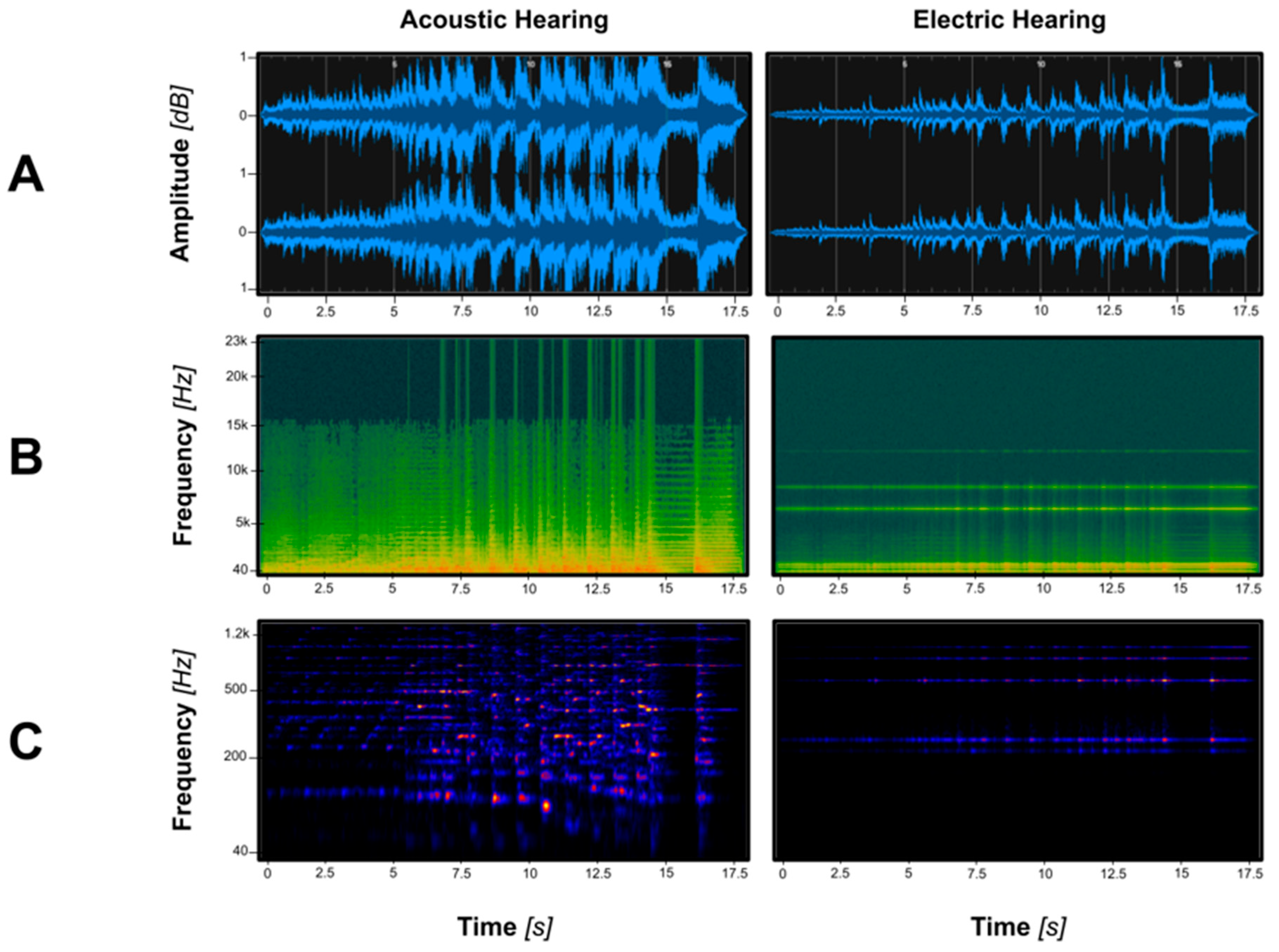 Brainsci 15 01192 g001