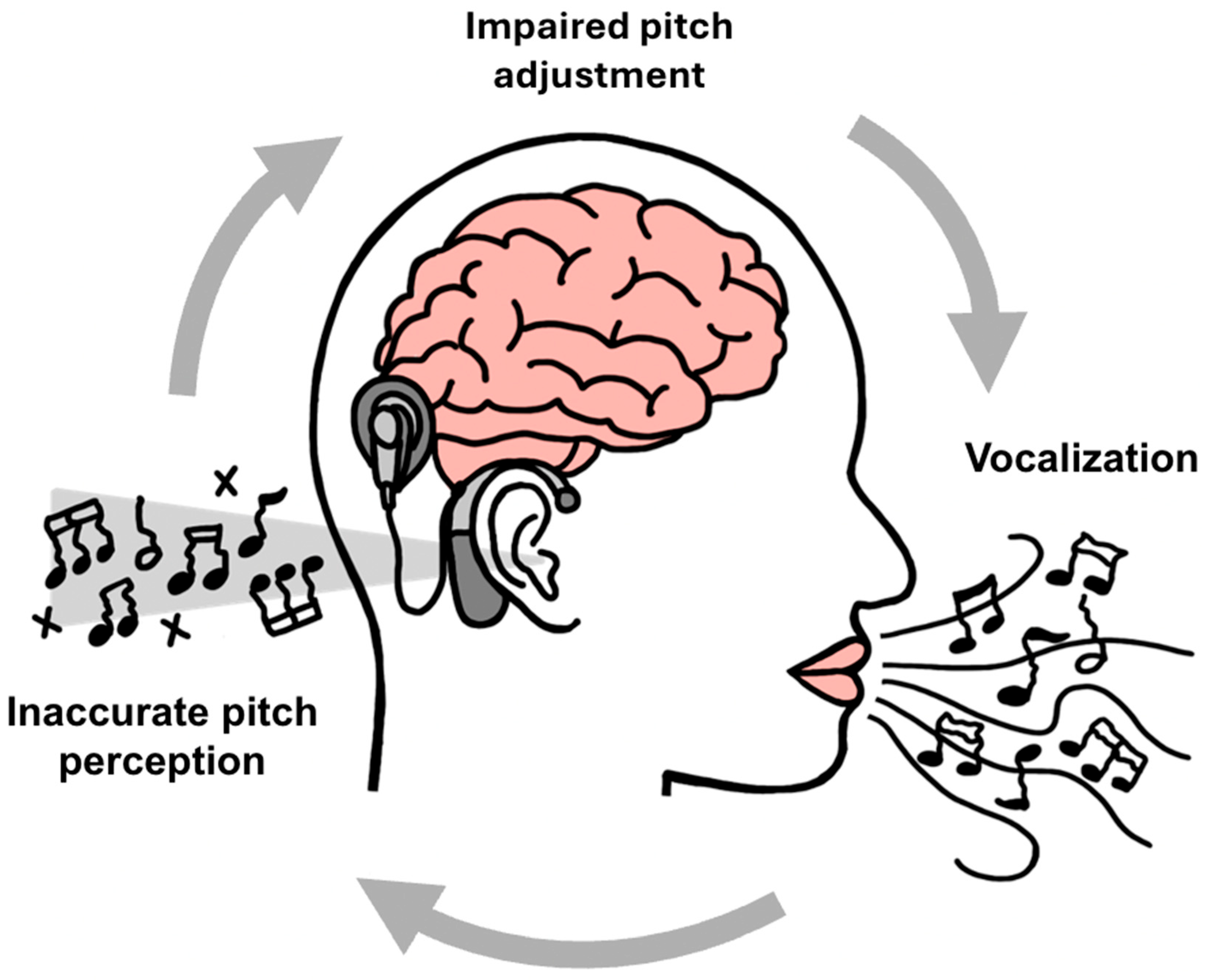 Brainsci 15 01192 g002