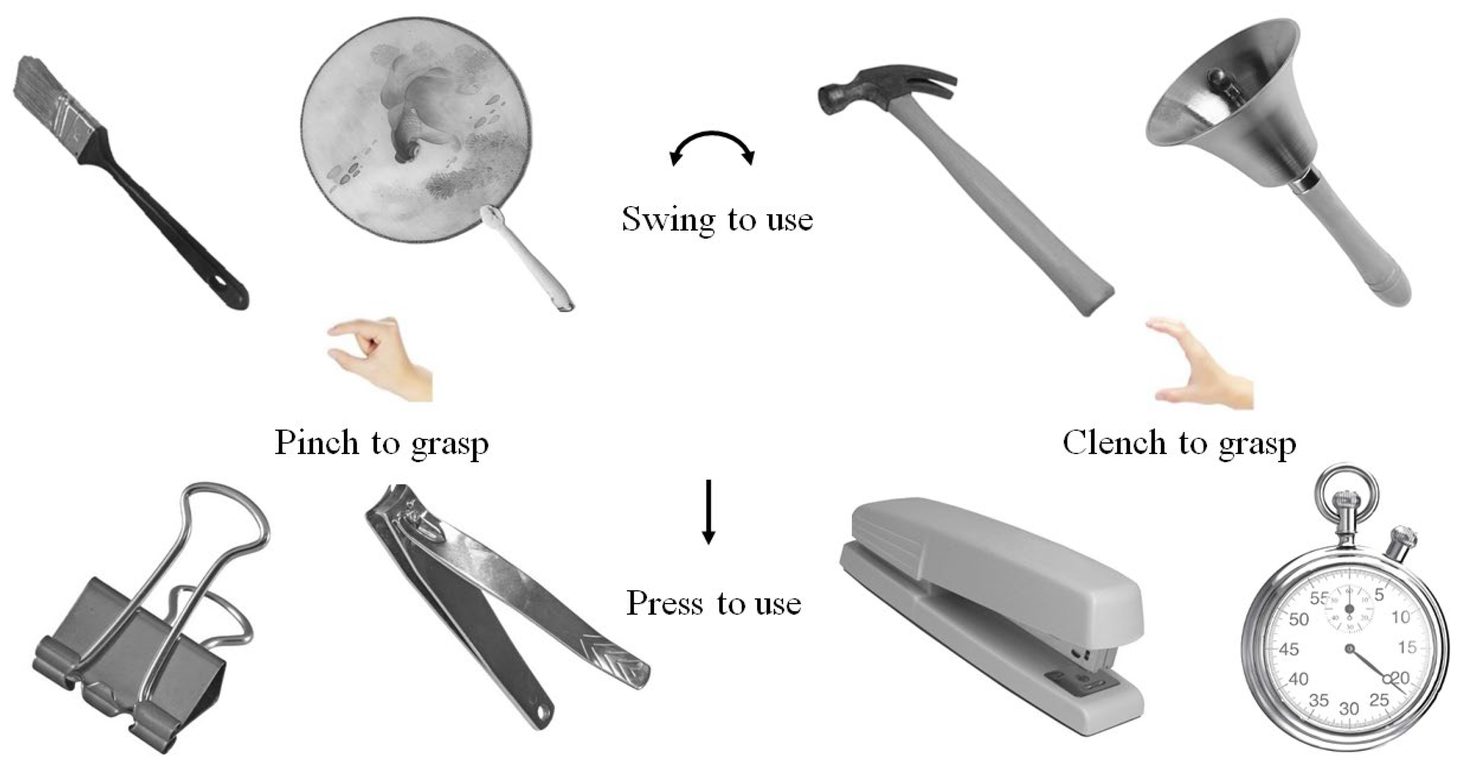 Brainsci 15 01206 g001