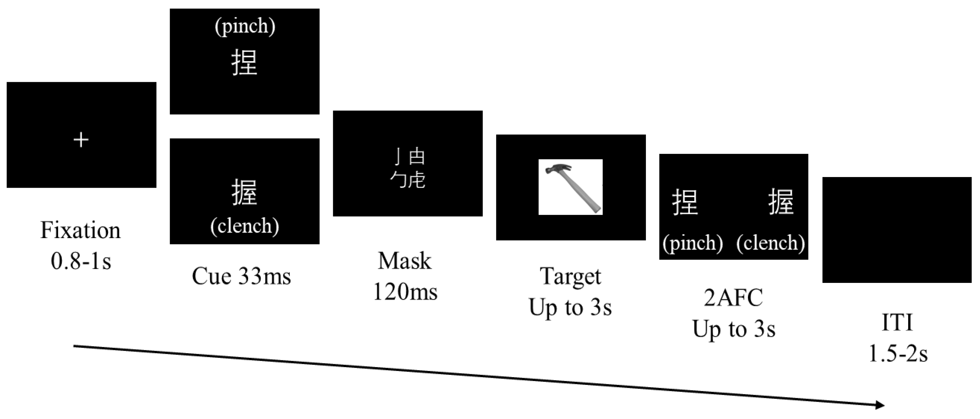 Brainsci 15 01206 g002