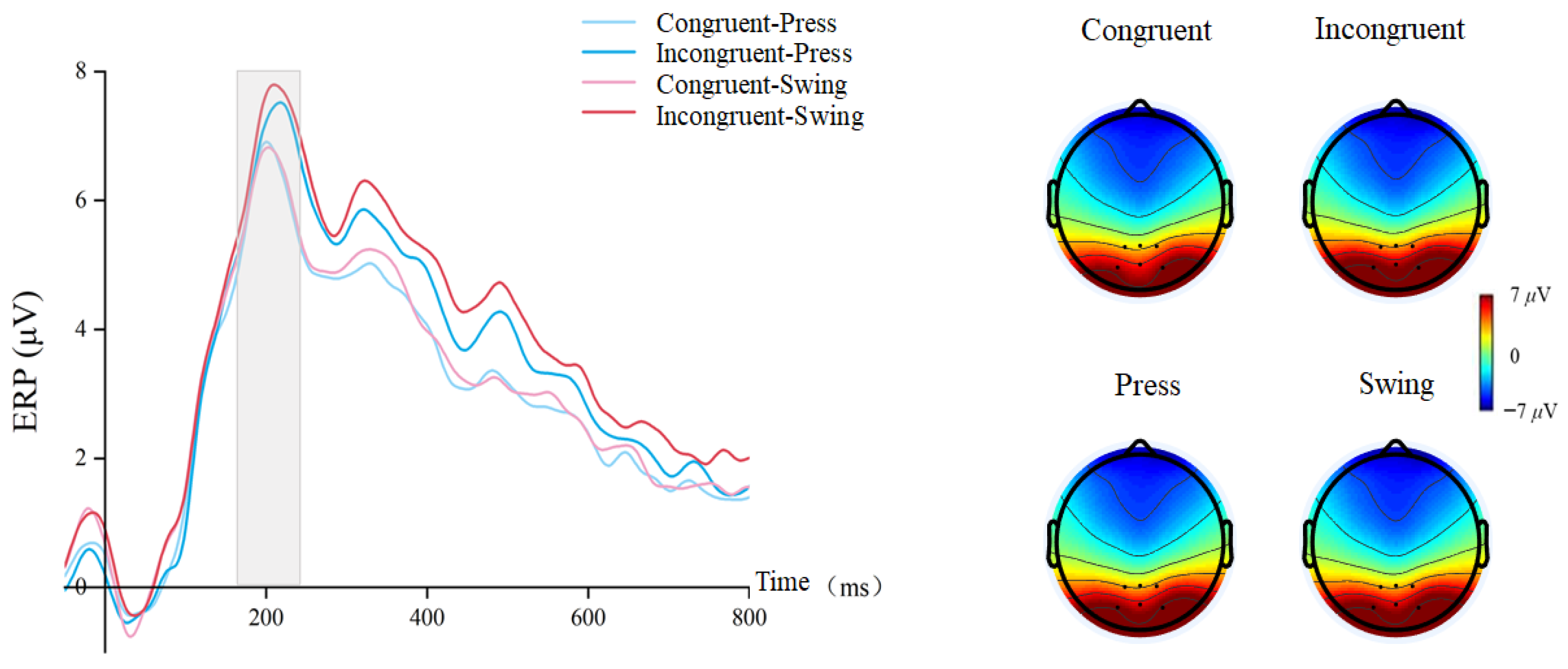 Brainsci 15 01206 g004 Brainsci 15 01206 g004