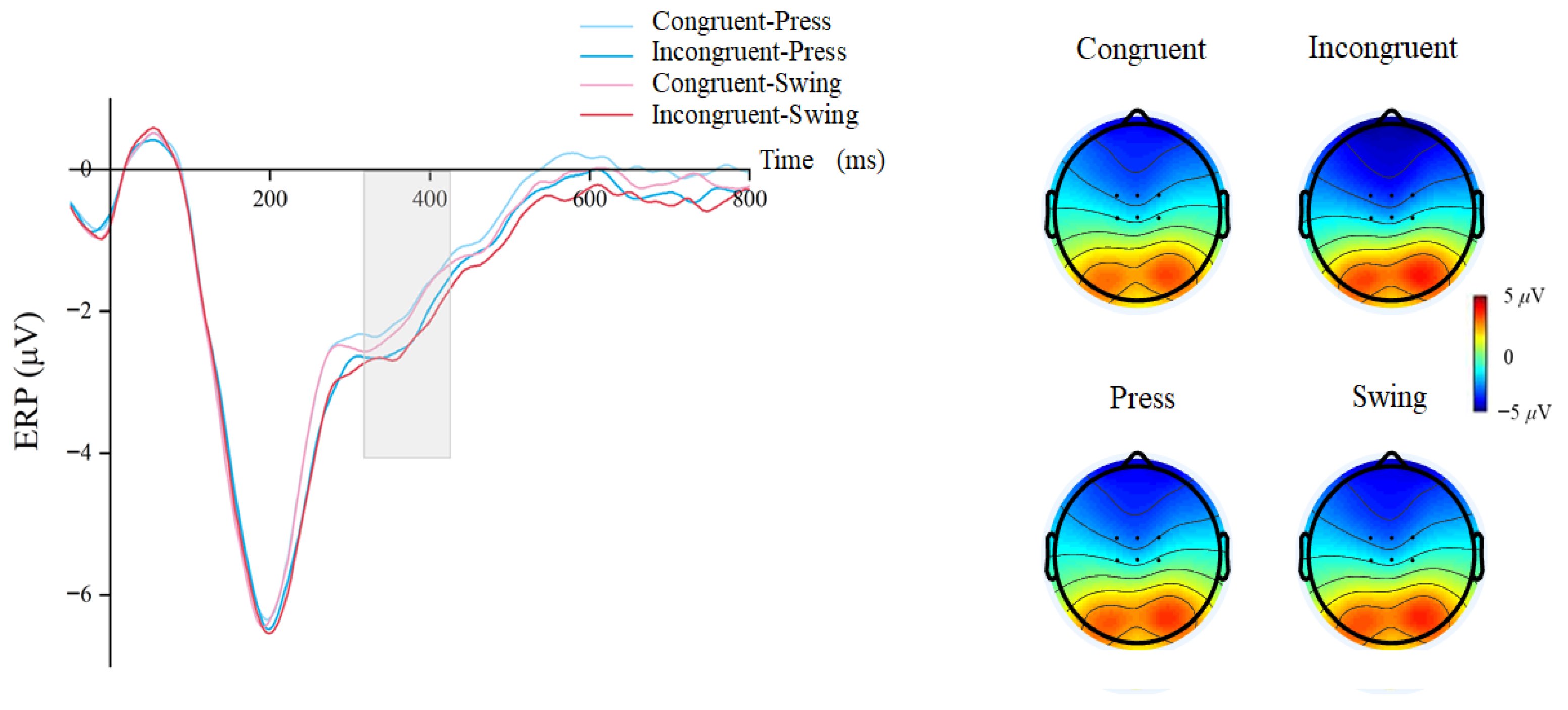 Brainsci 15 01206 g005 Brainsci 15 01206 g005