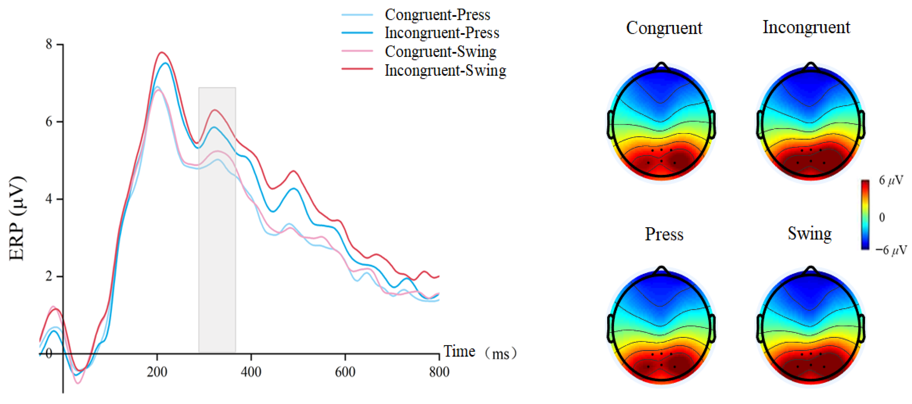 Brainsci 15 01206 g006 Brainsci 15 01206 g006