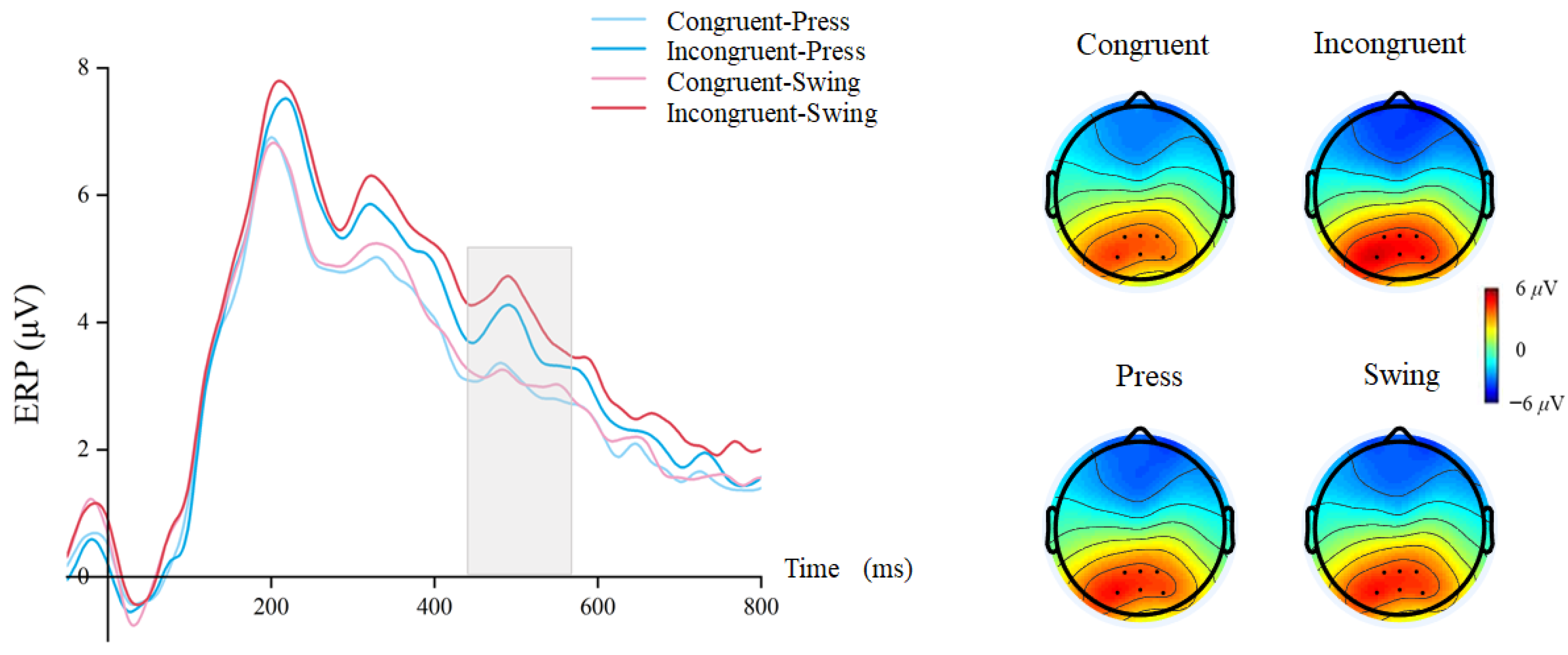 Brainsci 15 01206 g007