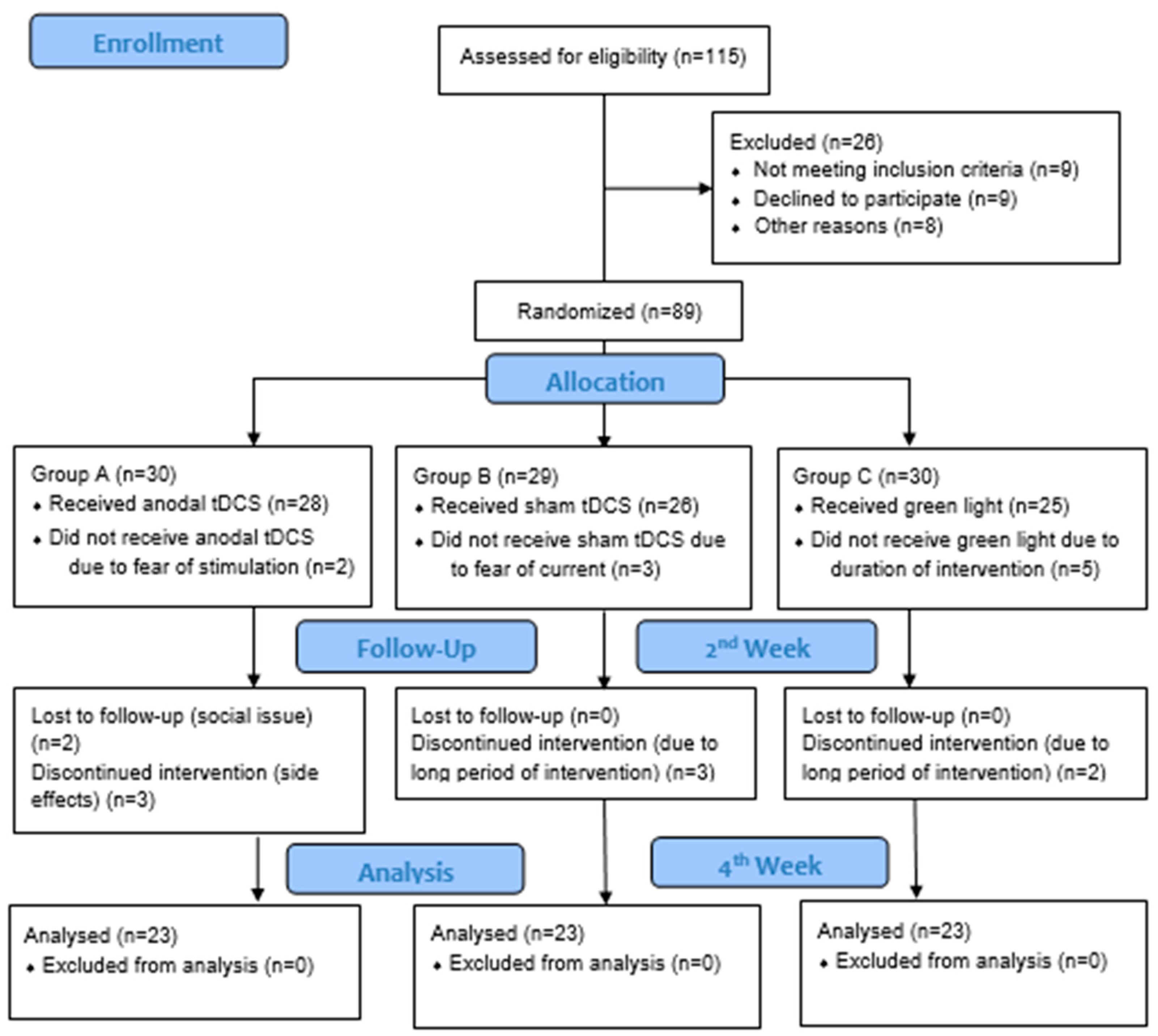 Brainsci 15 01209 g001