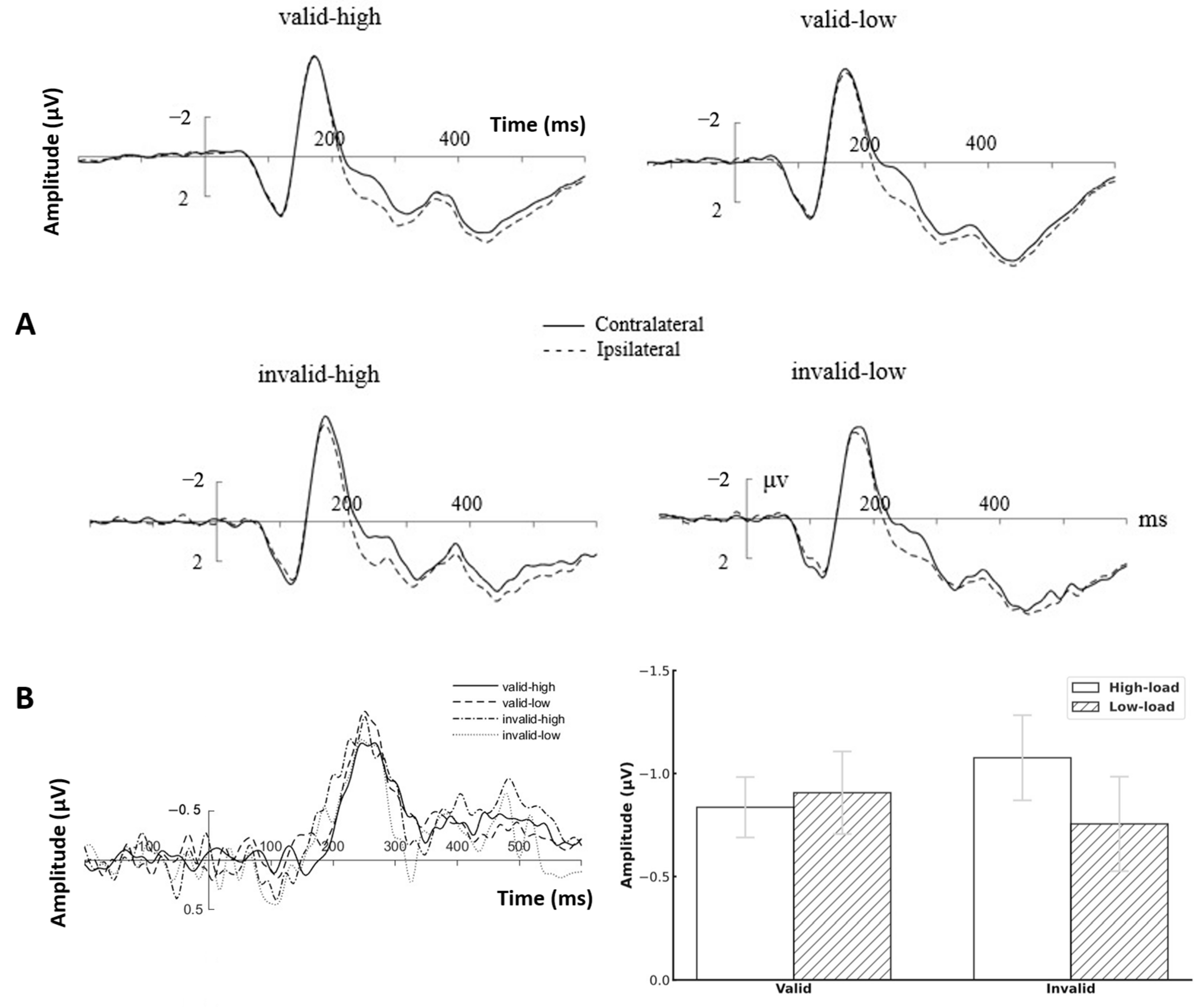 Brainsci 15 01210 g002 Brainsci 15 01210 g002