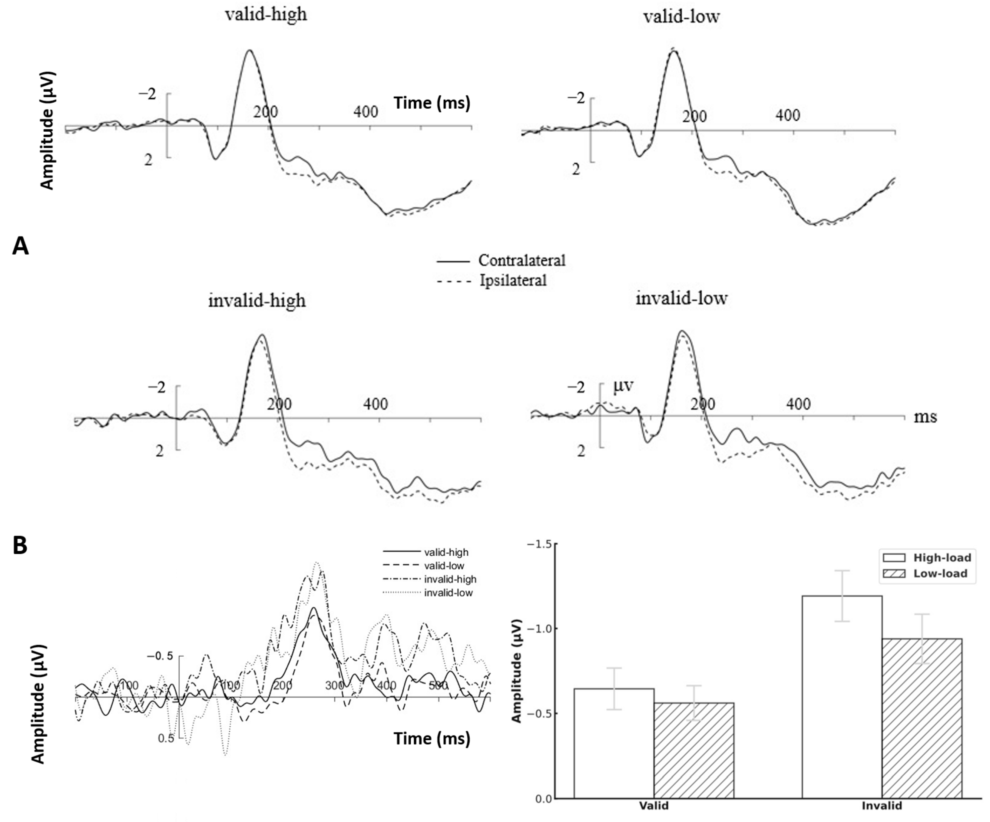 Brainsci 15 01210 g004 Brainsci 15 01210 g004