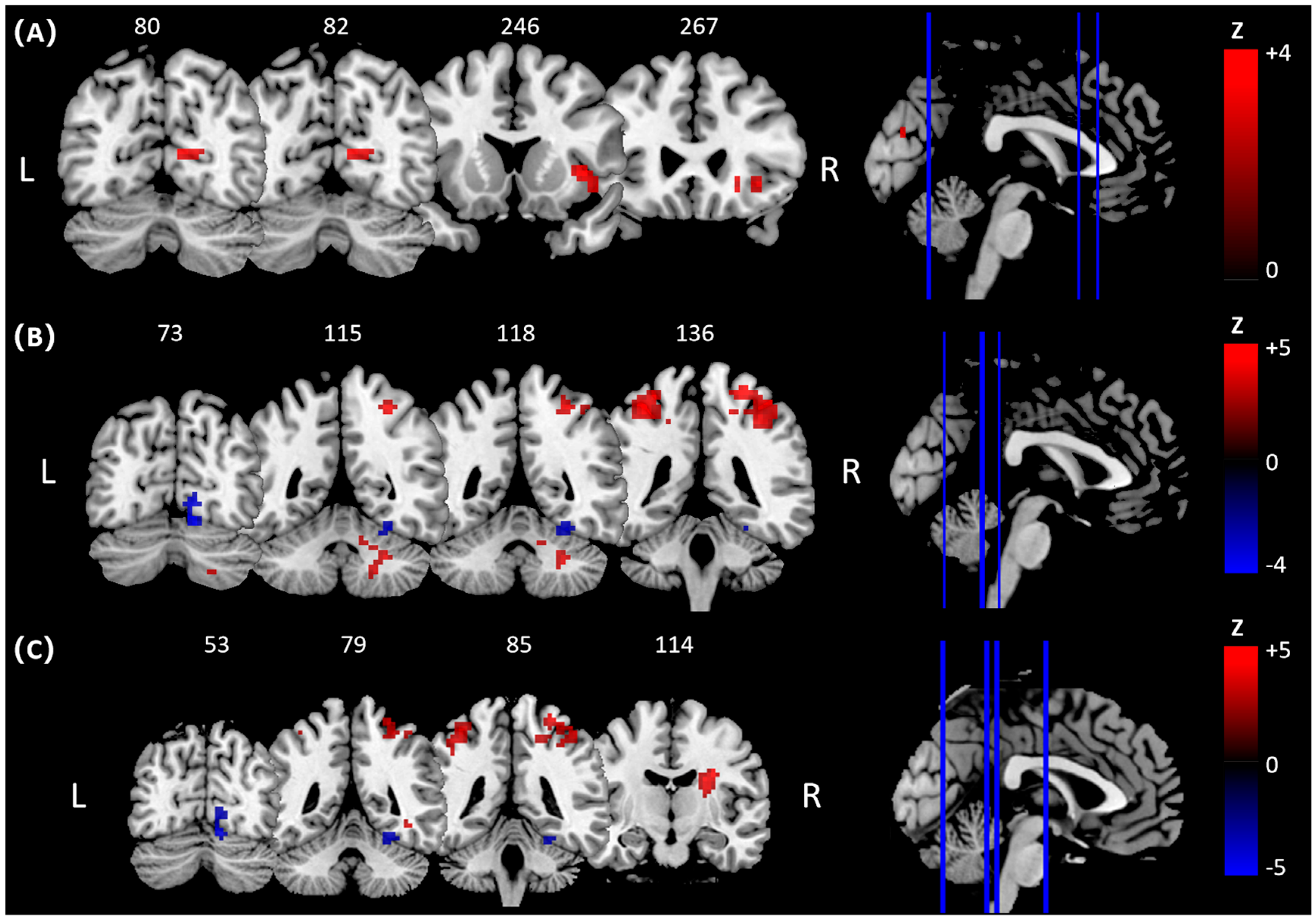 Brainsci 15 01215 g002