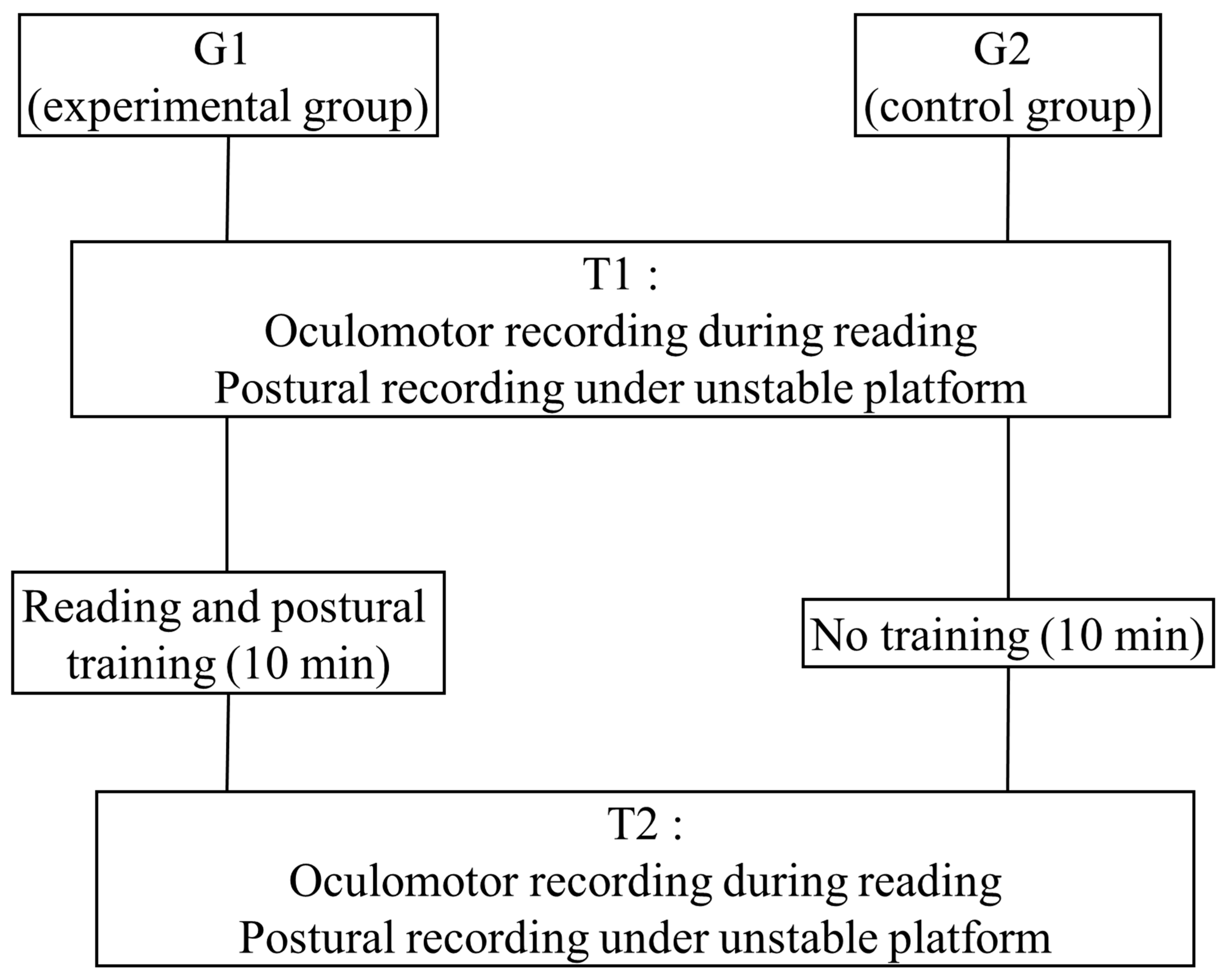 Brainsci 15 01218 g001