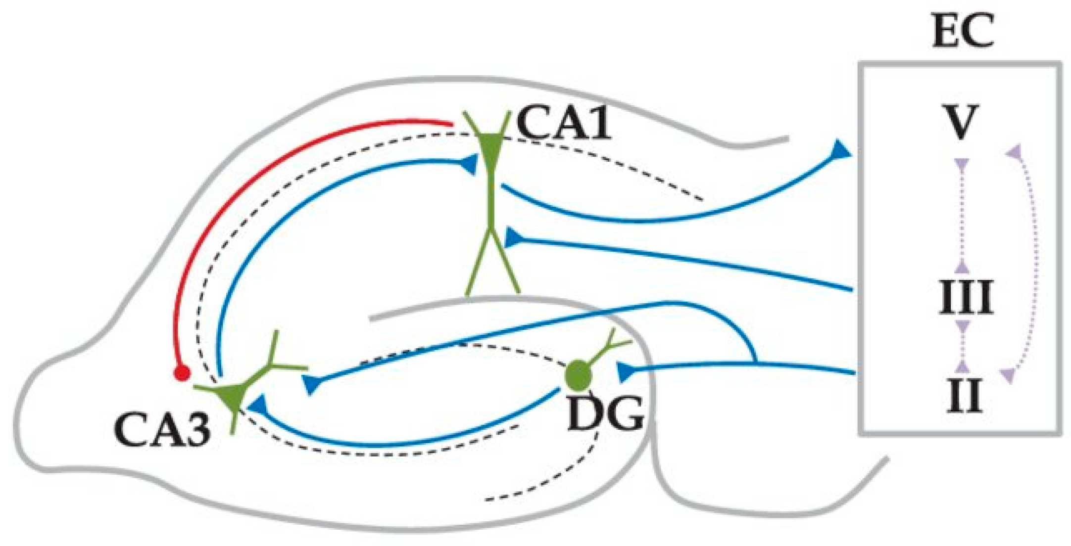 Brainsci 15 01219 g001