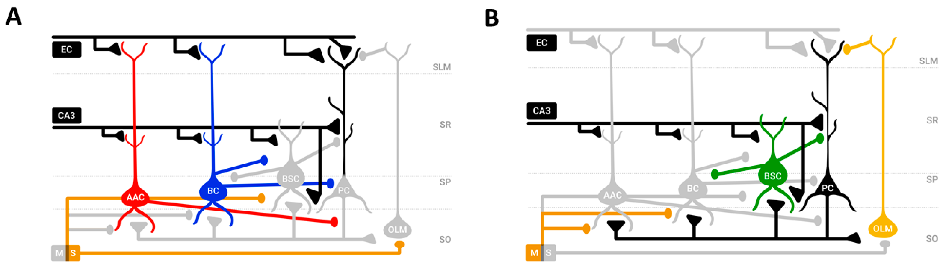 Brainsci 15 01219 g002