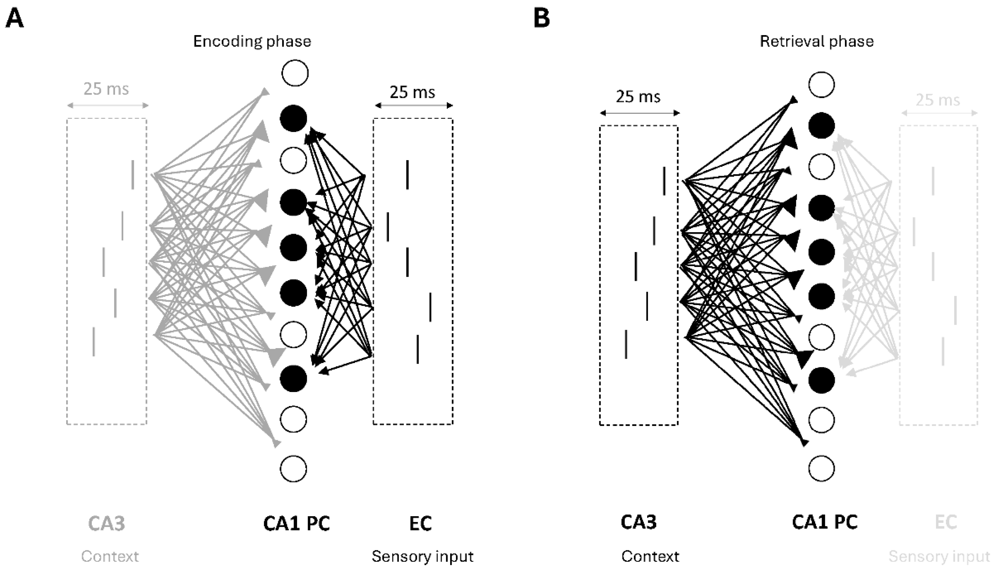 Brainsci 15 01219 g003